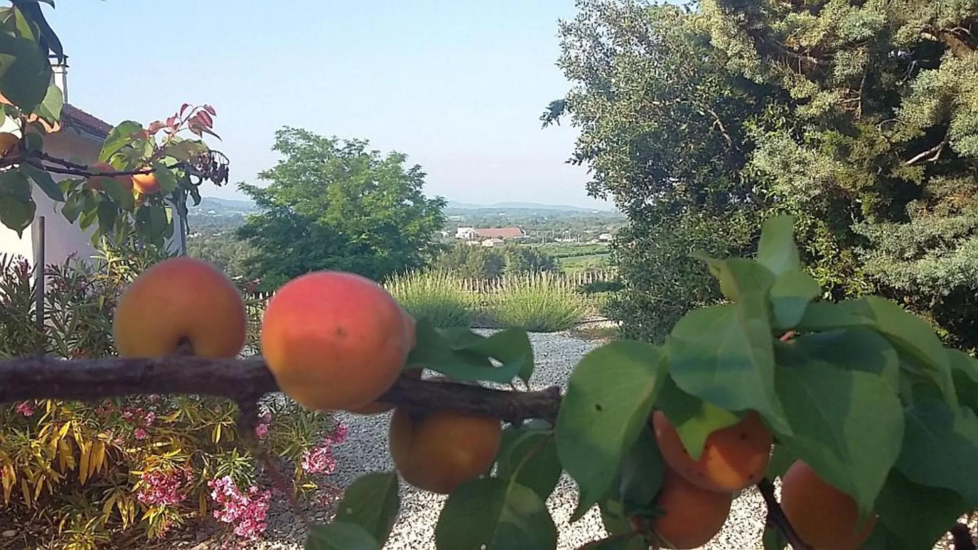 View (from property/room) in Masmazan