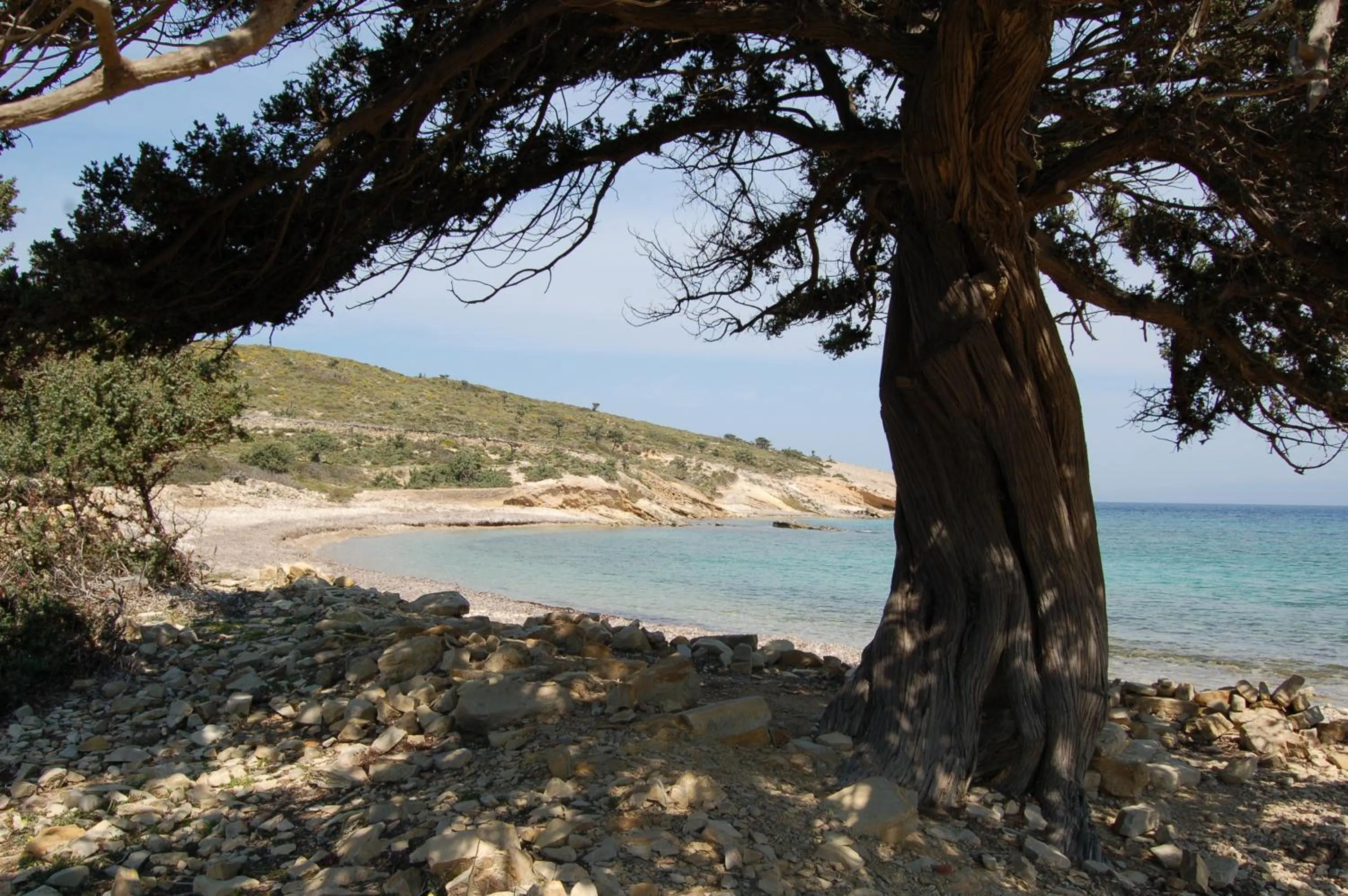 Beach in Calypso Hotel