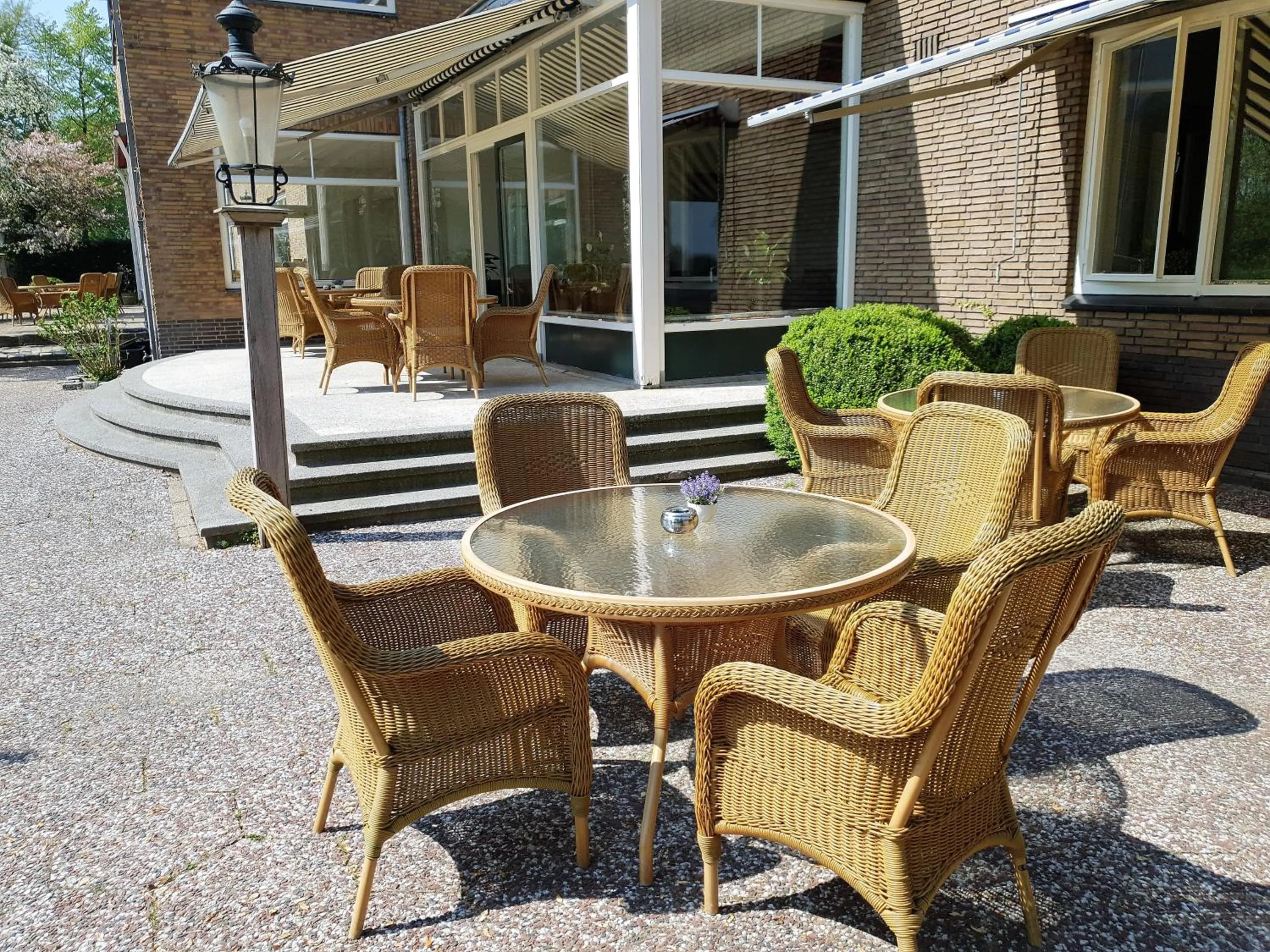 Garden in Hotel Wyllandrie