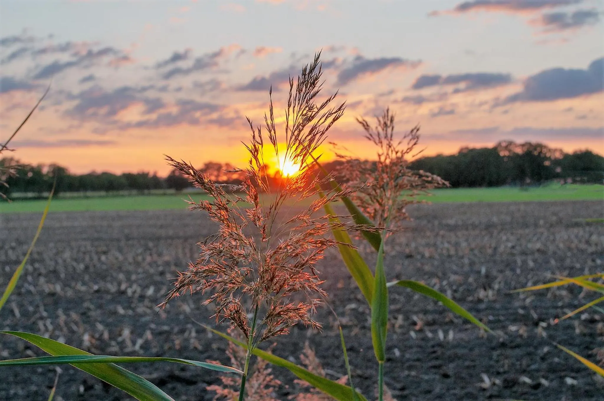 Neighbourhood in Hotel Wyllandrie