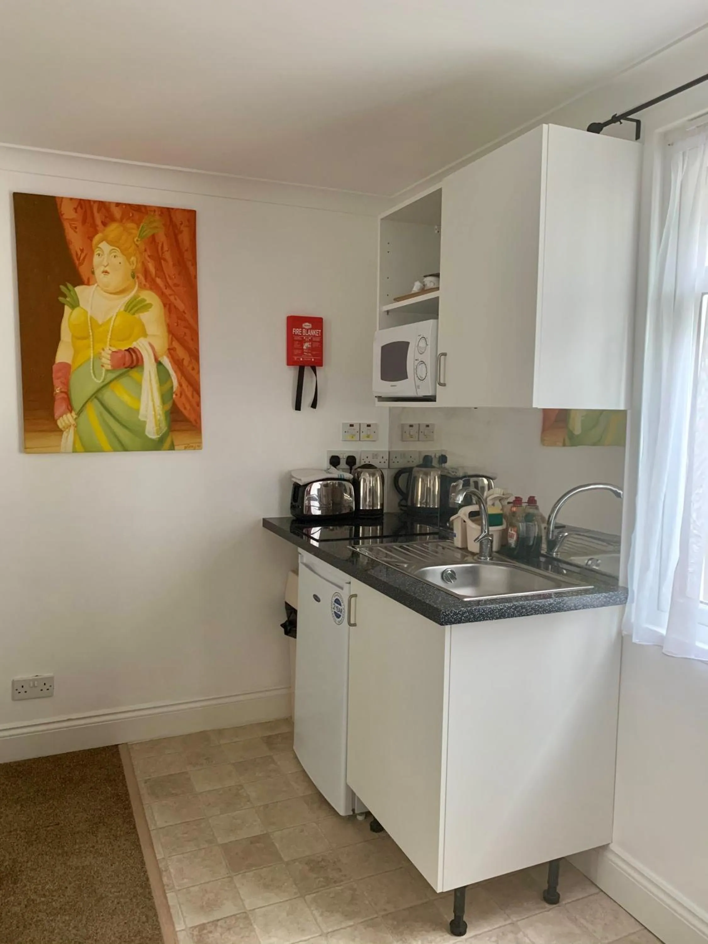 Kitchen or kitchenette in Sarum Apart-Hotel