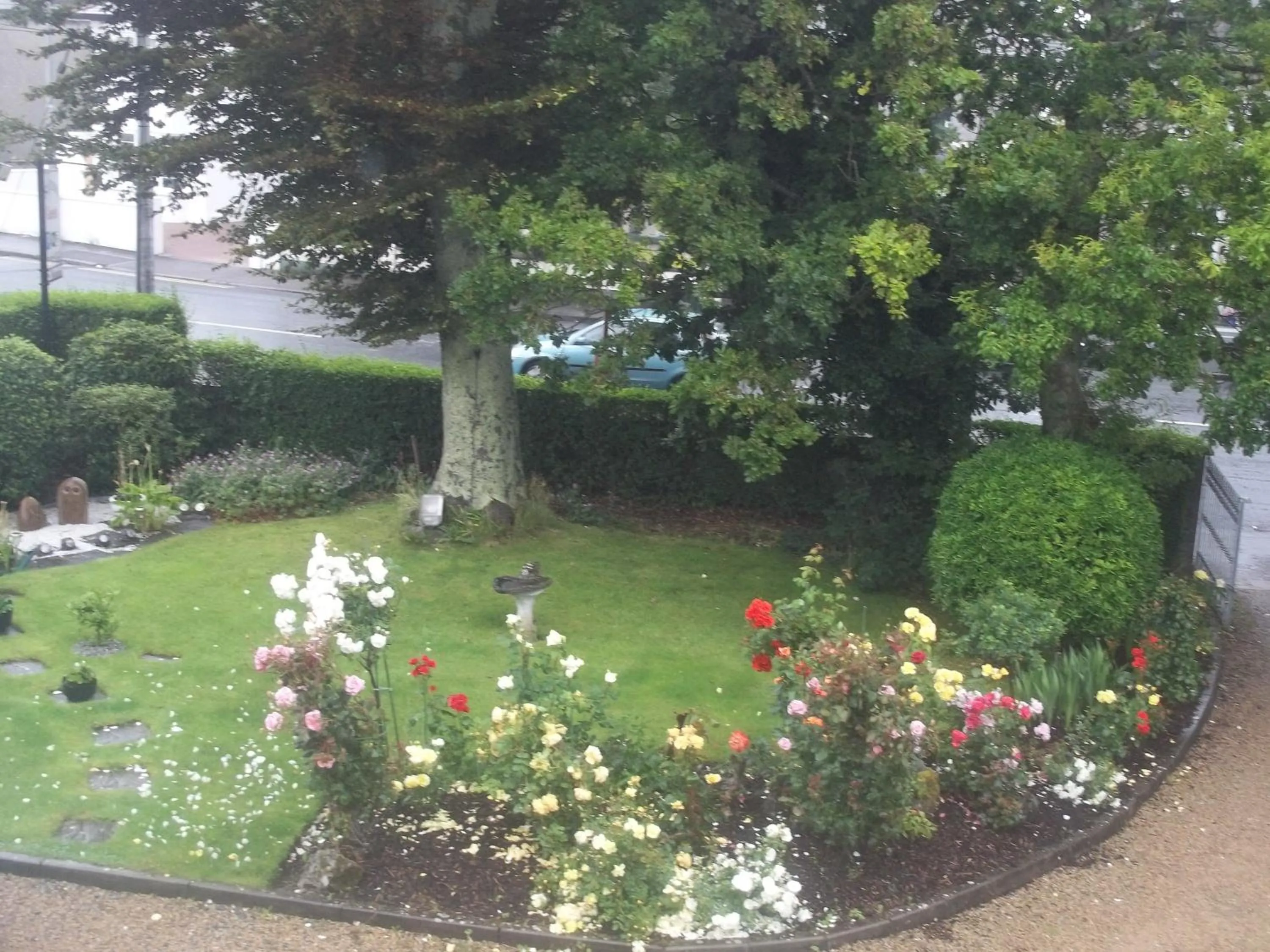 Garden view in St Judes B&B