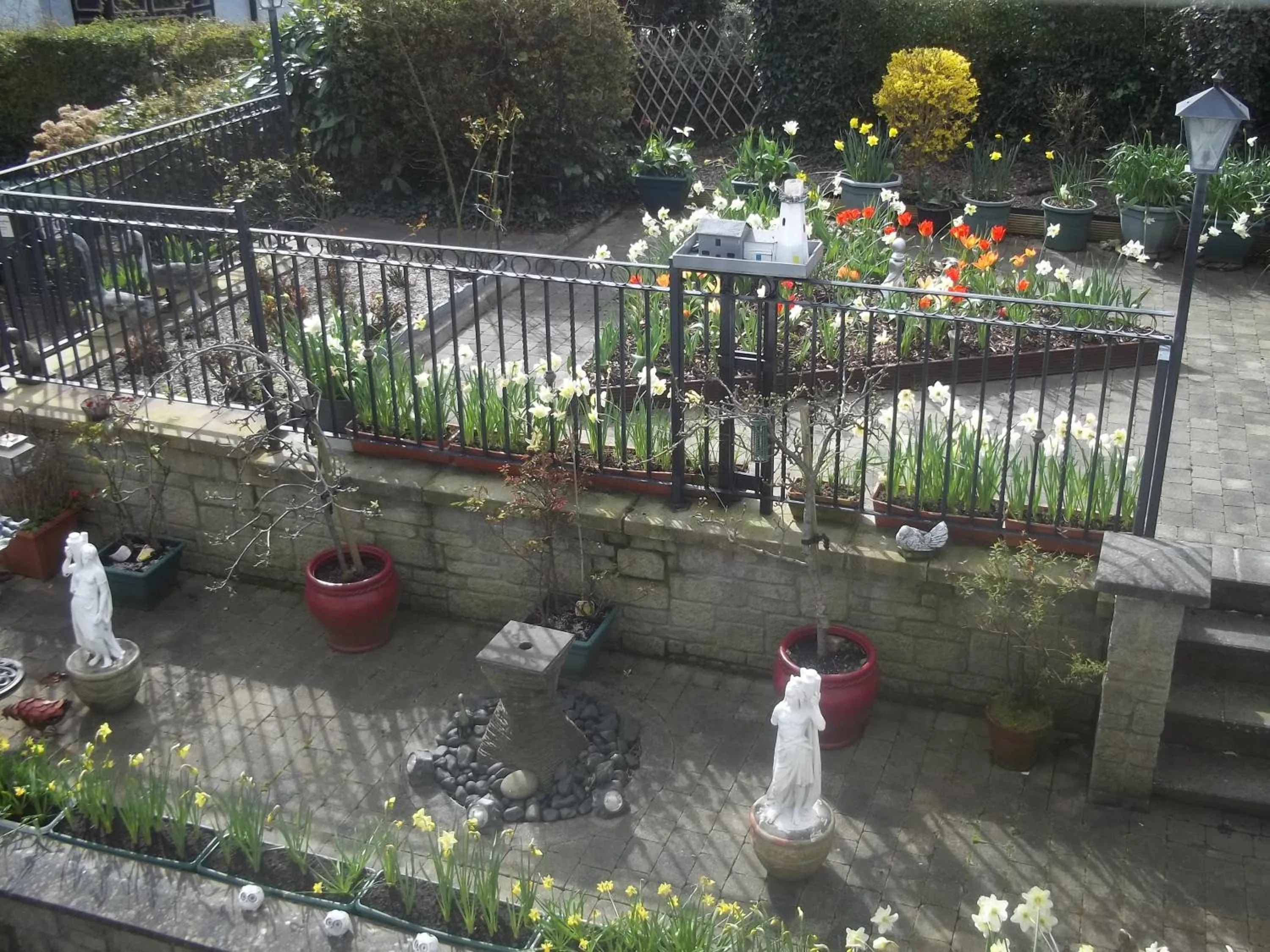 Garden in St Judes B&B