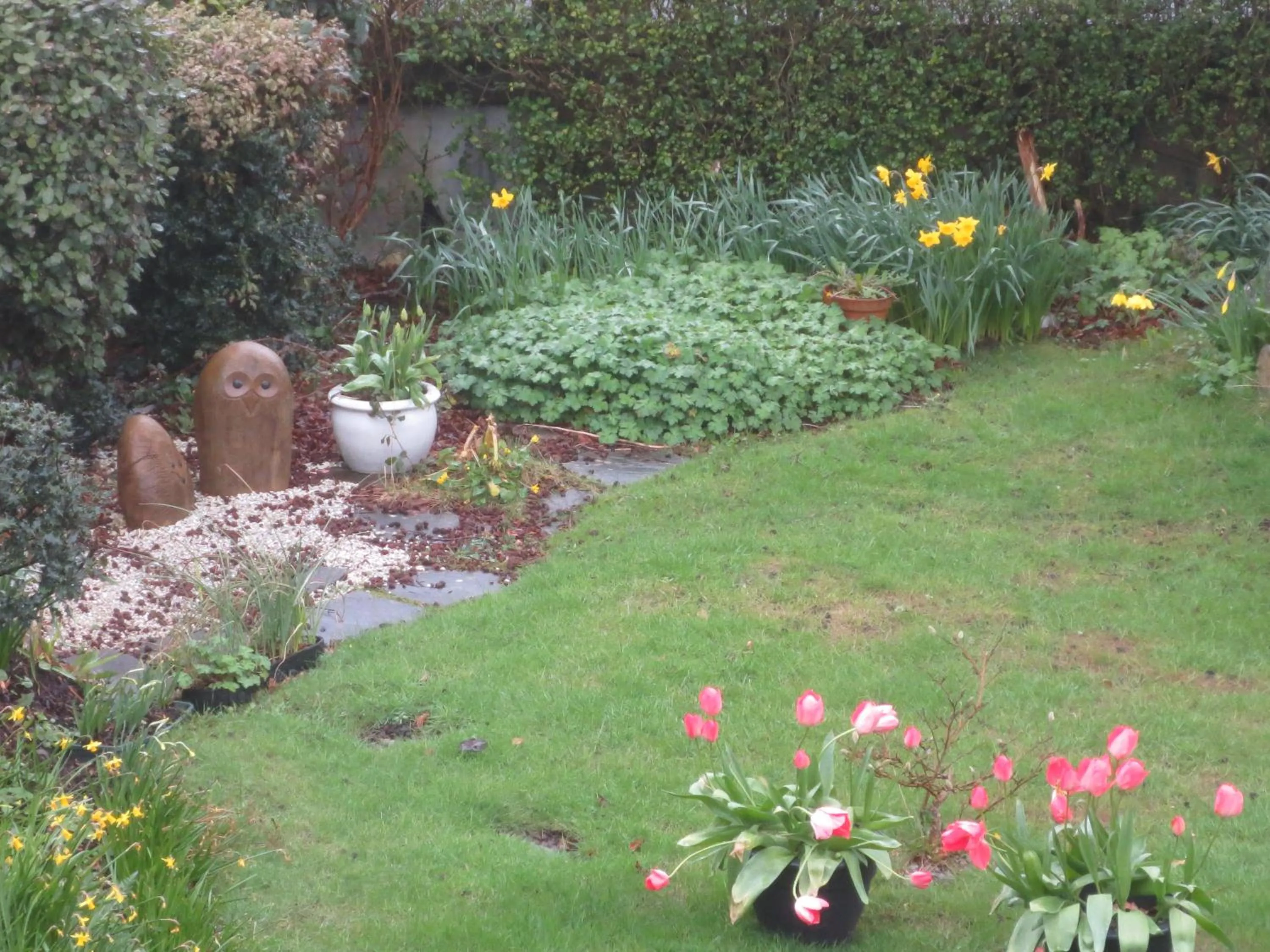 Garden view in St Judes B&B