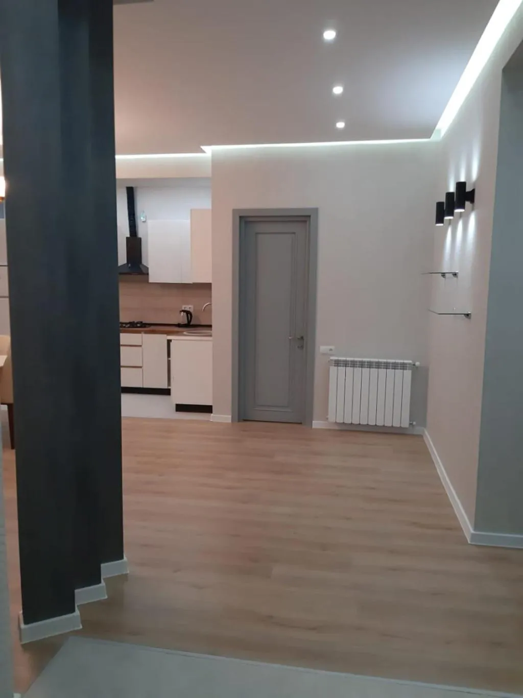 internet in Two-bedroom apartment in the Saakadze tower
