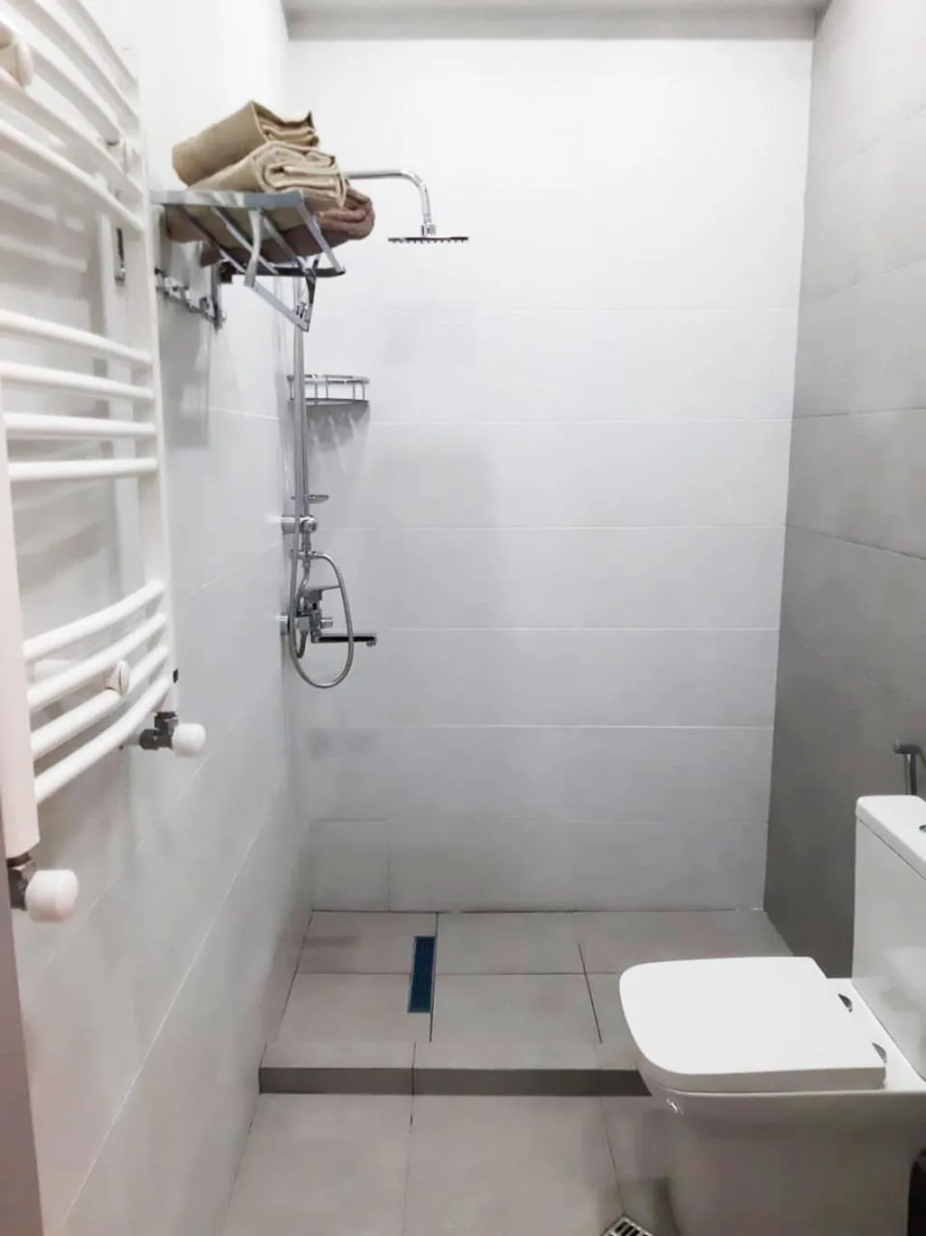 Shower in Two-bedroom apartment in the Saakadze tower