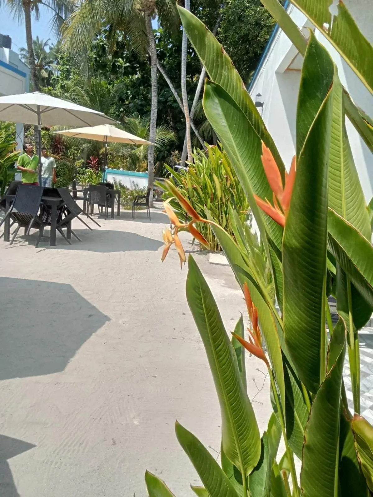 Property building in Fulidhoo Hathaa Retreat