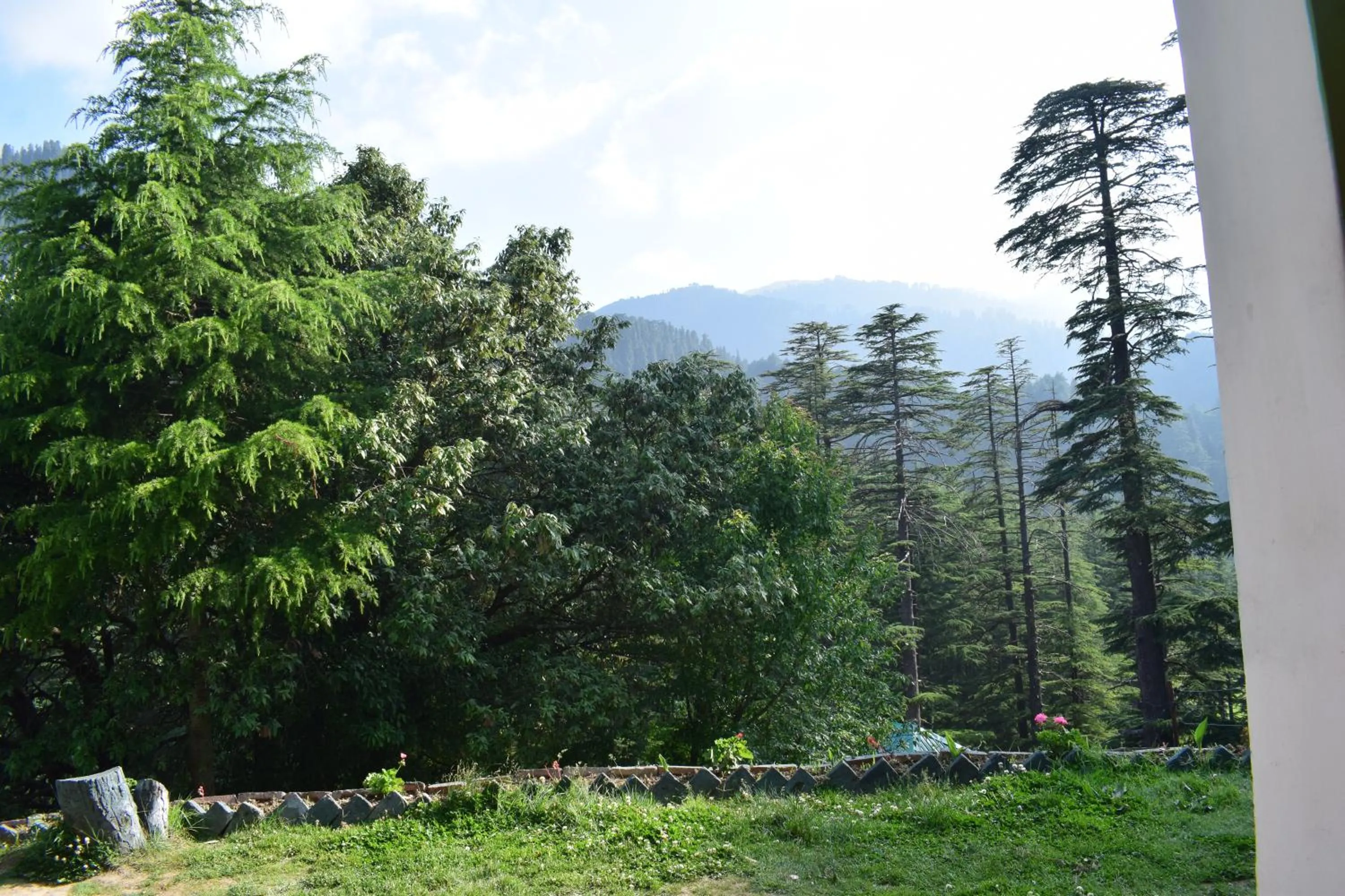 Natural landscape in Green valley homestay