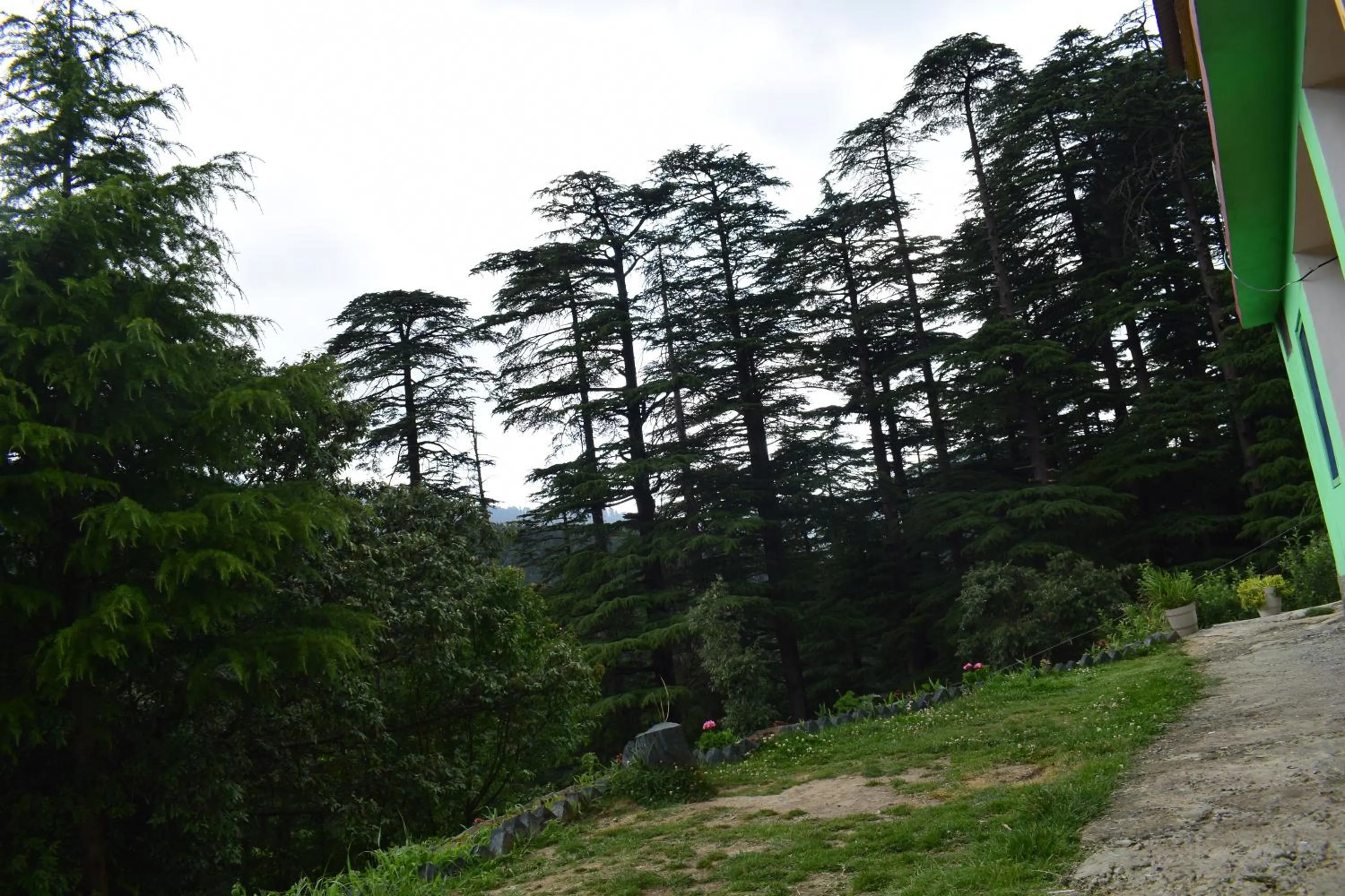 Natural landscape in Green valley homestay