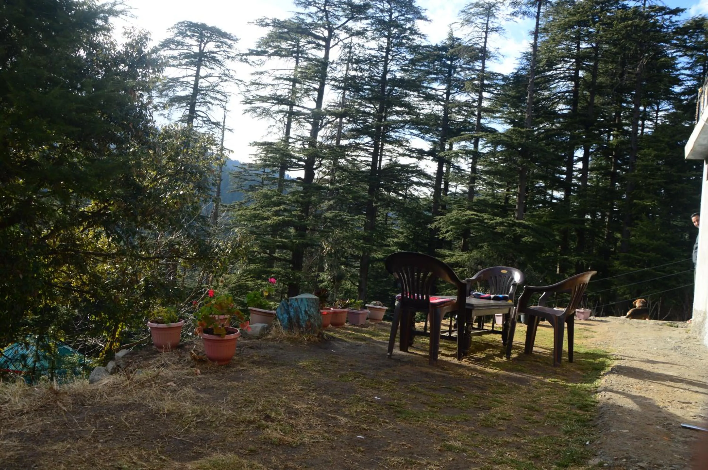Day in Green valley homestay