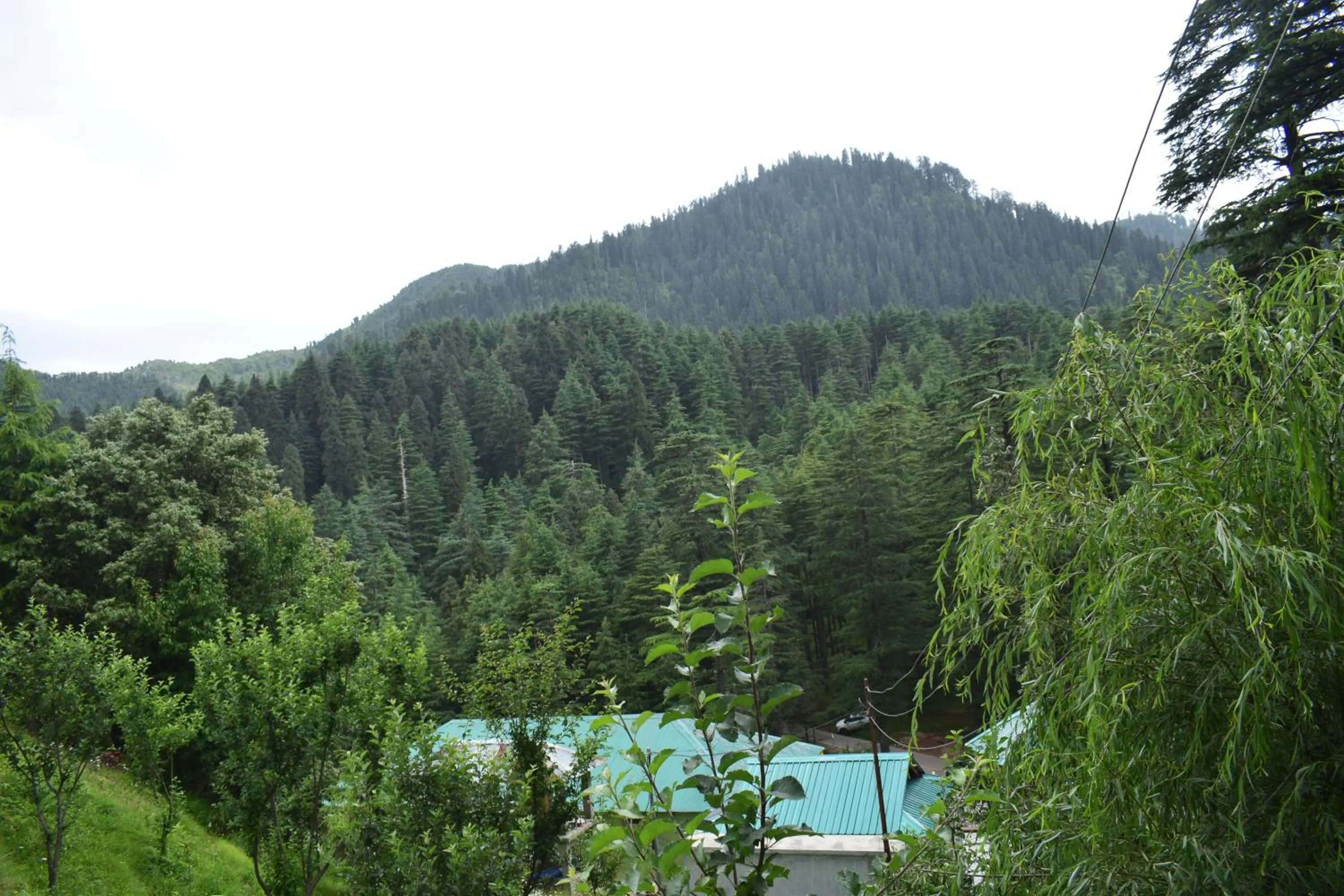 Natural landscape in Green valley homestay