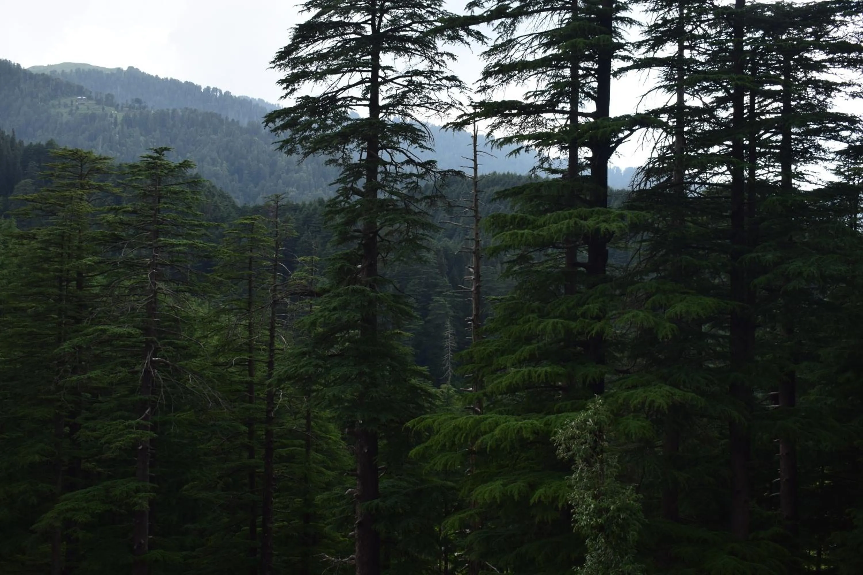 Natural landscape in Green valley homestay