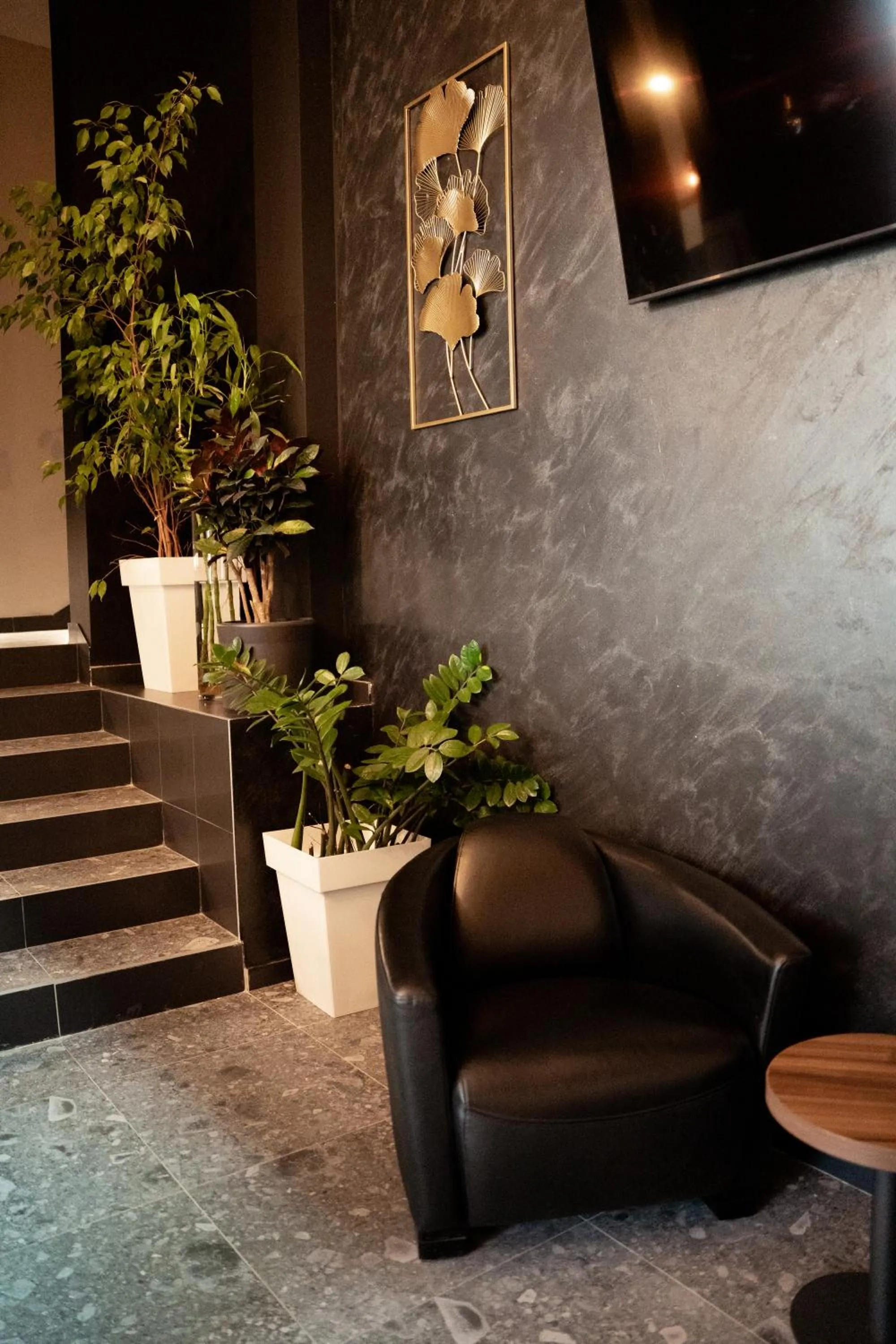 TV and multimedia in Olivia Rooms