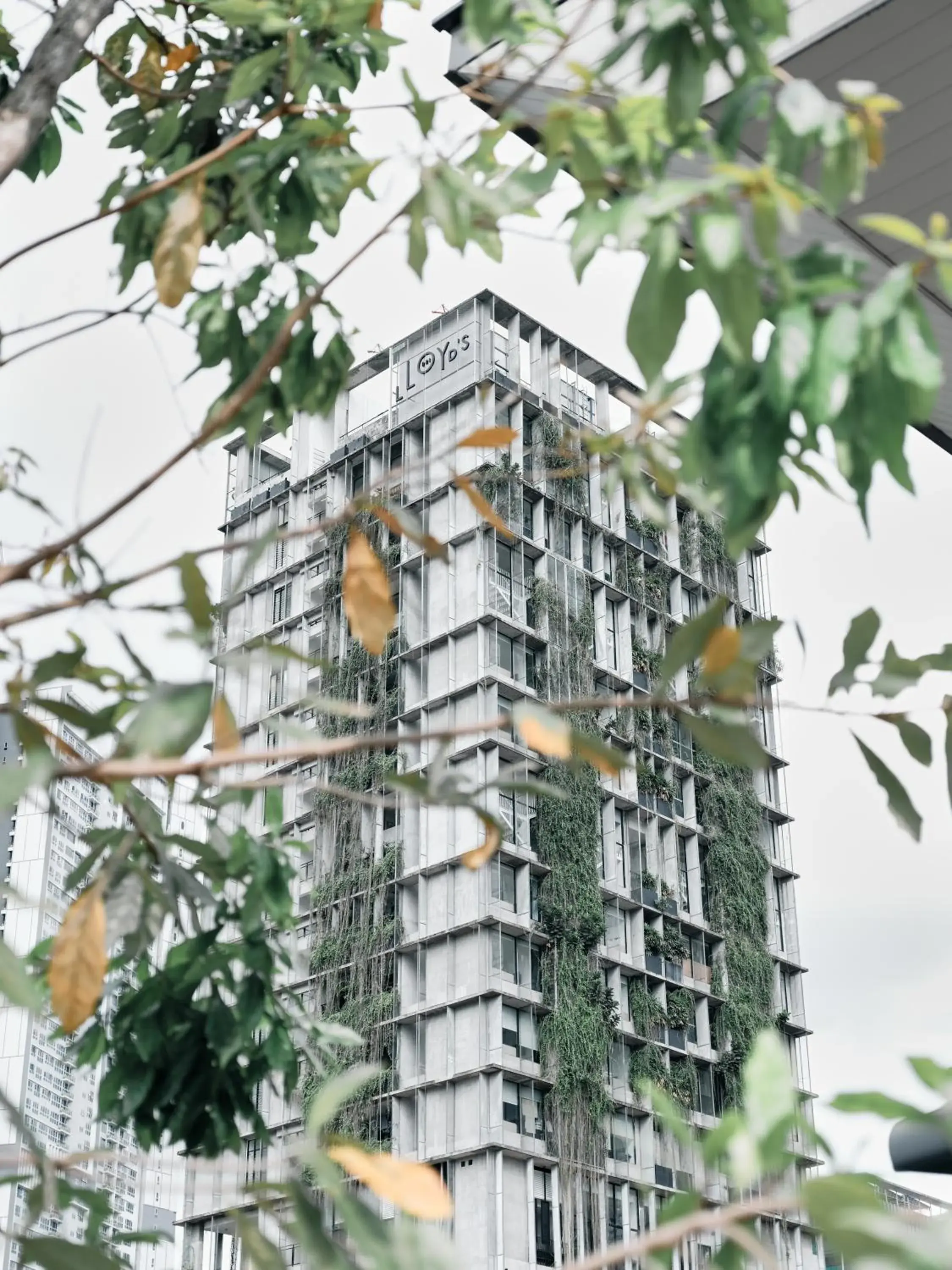 Property building in Lloyd's Inn Kuala Lumpur Property building in Lloyd's Inn Kuala Lumpur