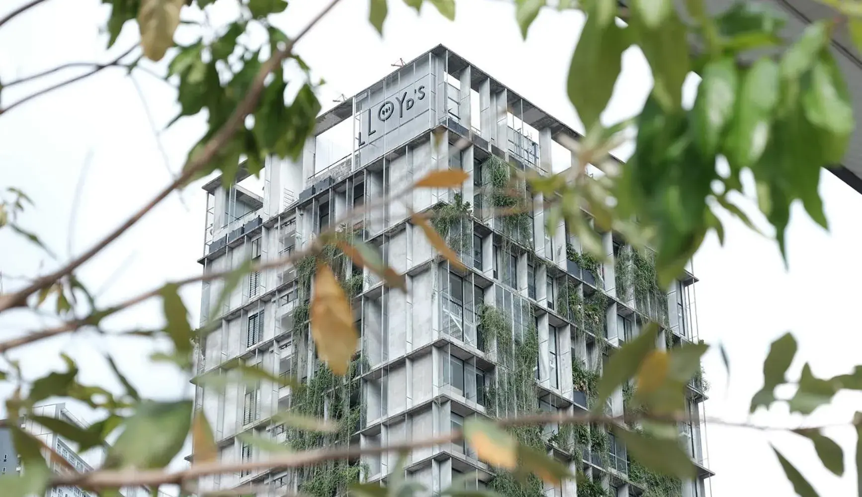 Property building in Lloyd's Inn Kuala Lumpur Property building in Lloyd's Inn Kuala Lumpur