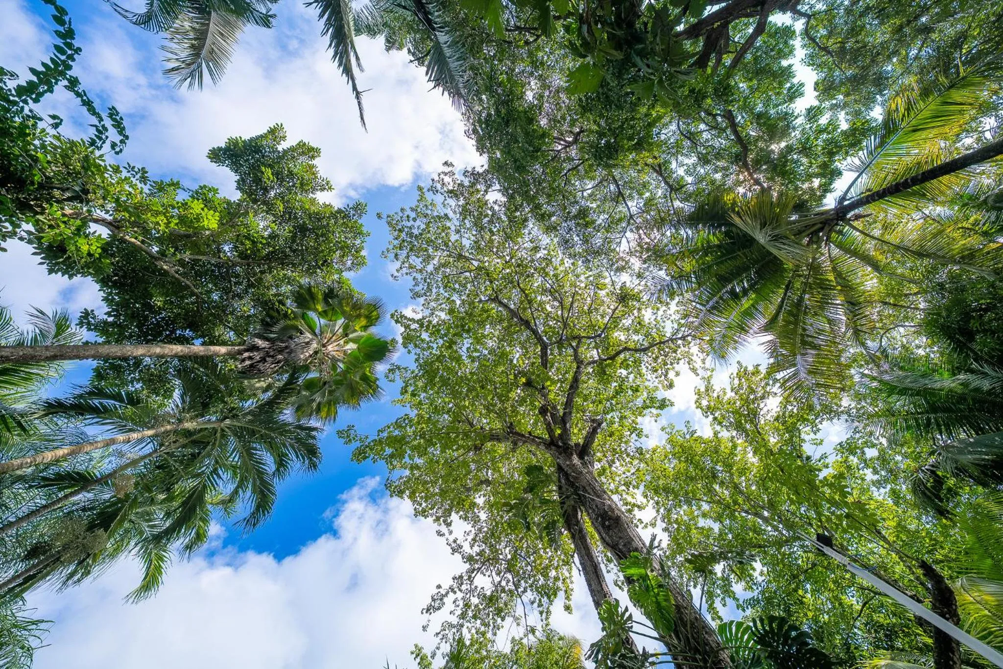 View (from property/room) in Dreamcatcher Hotel - Live the Dream of Santa Teresa