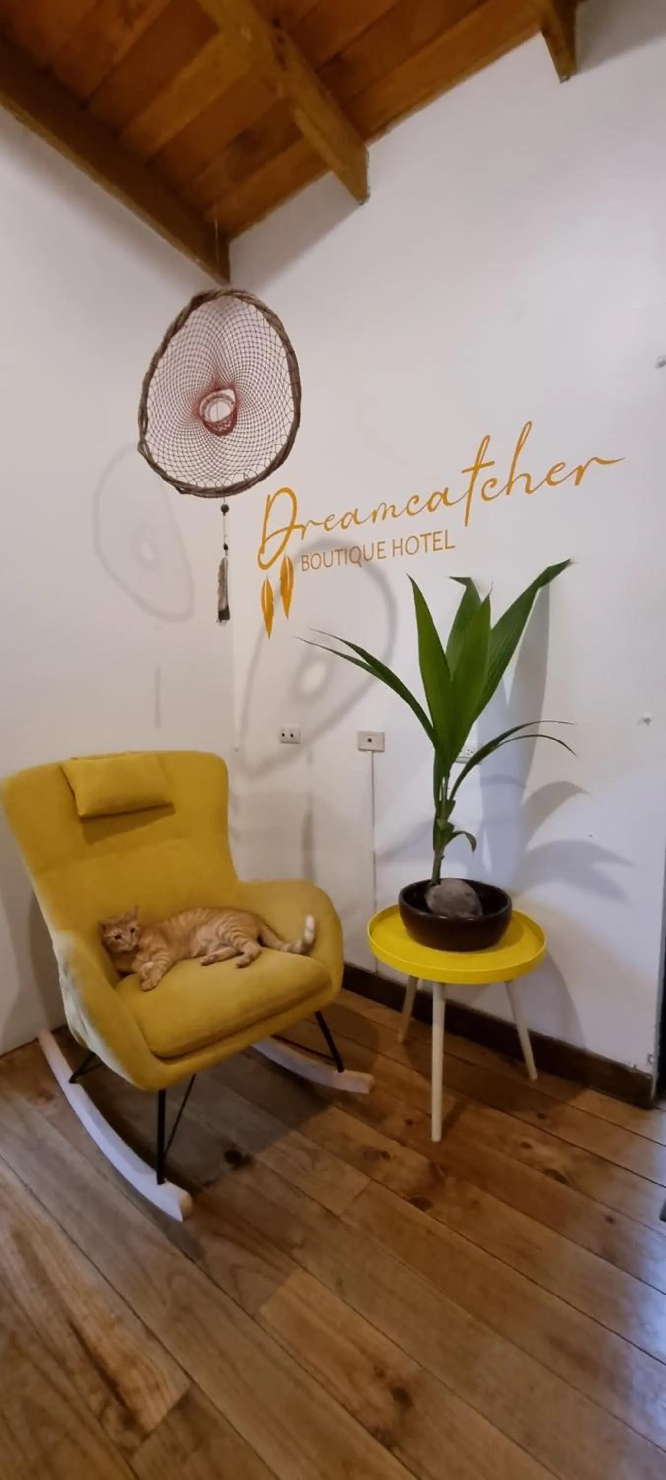 Lobby or reception in Dreamcatcher Hotel - Live the Dream of Santa Teresa