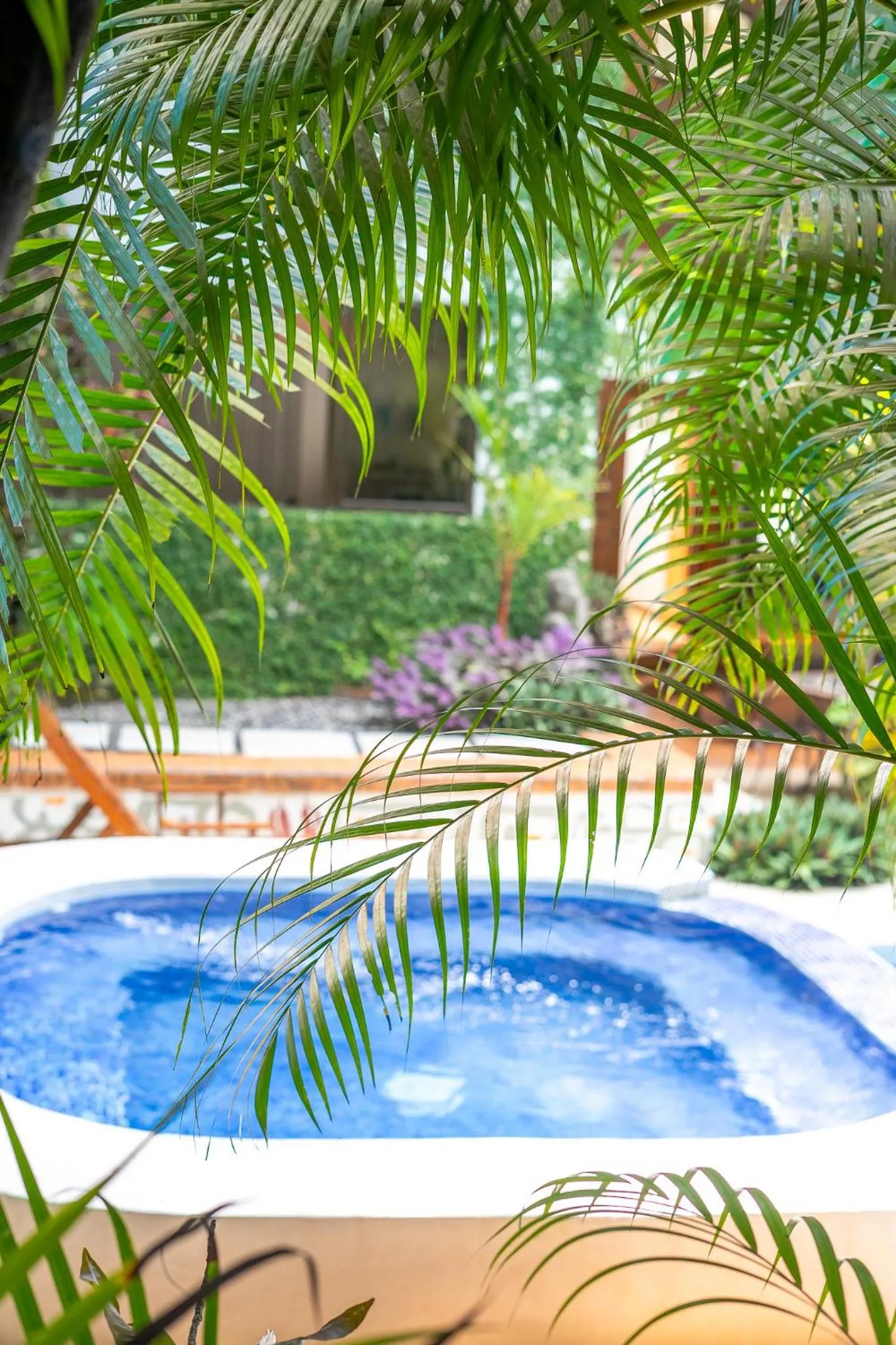 Swimming pool in Dreamcatcher Hotel - Live the Dream of Santa Teresa