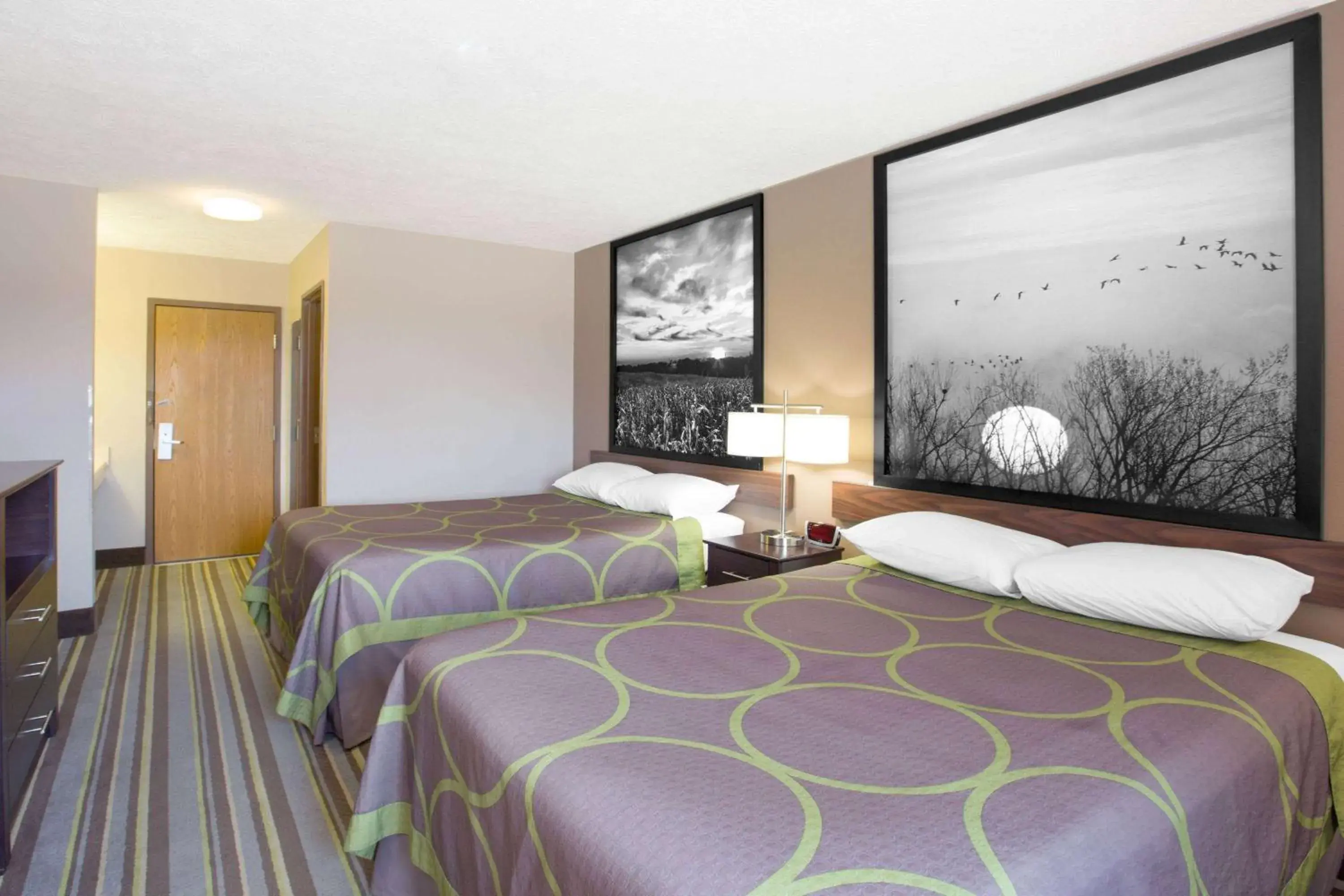 Photo of the whole room, Bed in Super 8 by Wyndham Hastings Photo of the whole room, Bed in Super 8 by Wyndham Hastings