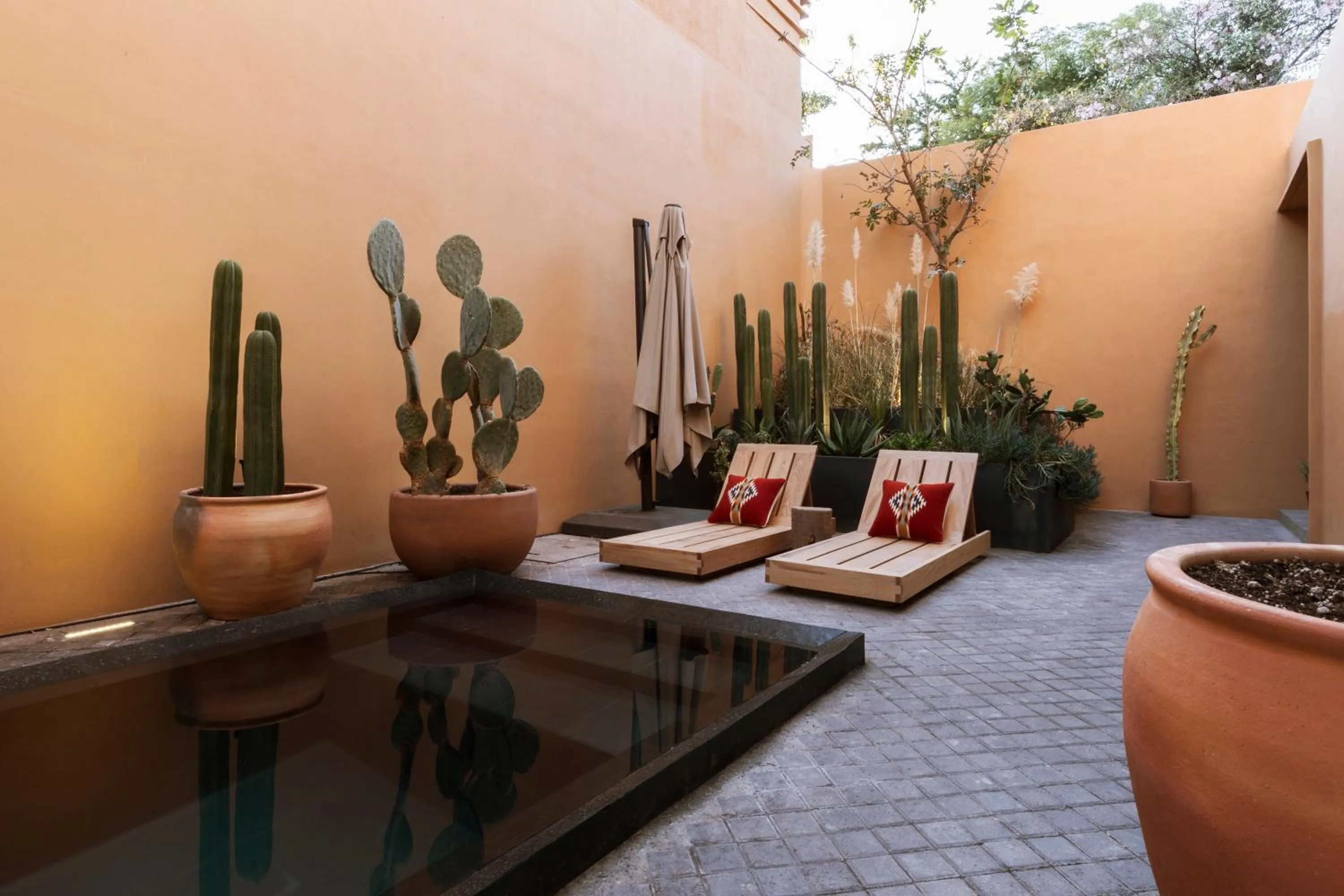 Swimming pool in Macondo Arte Oaxaca