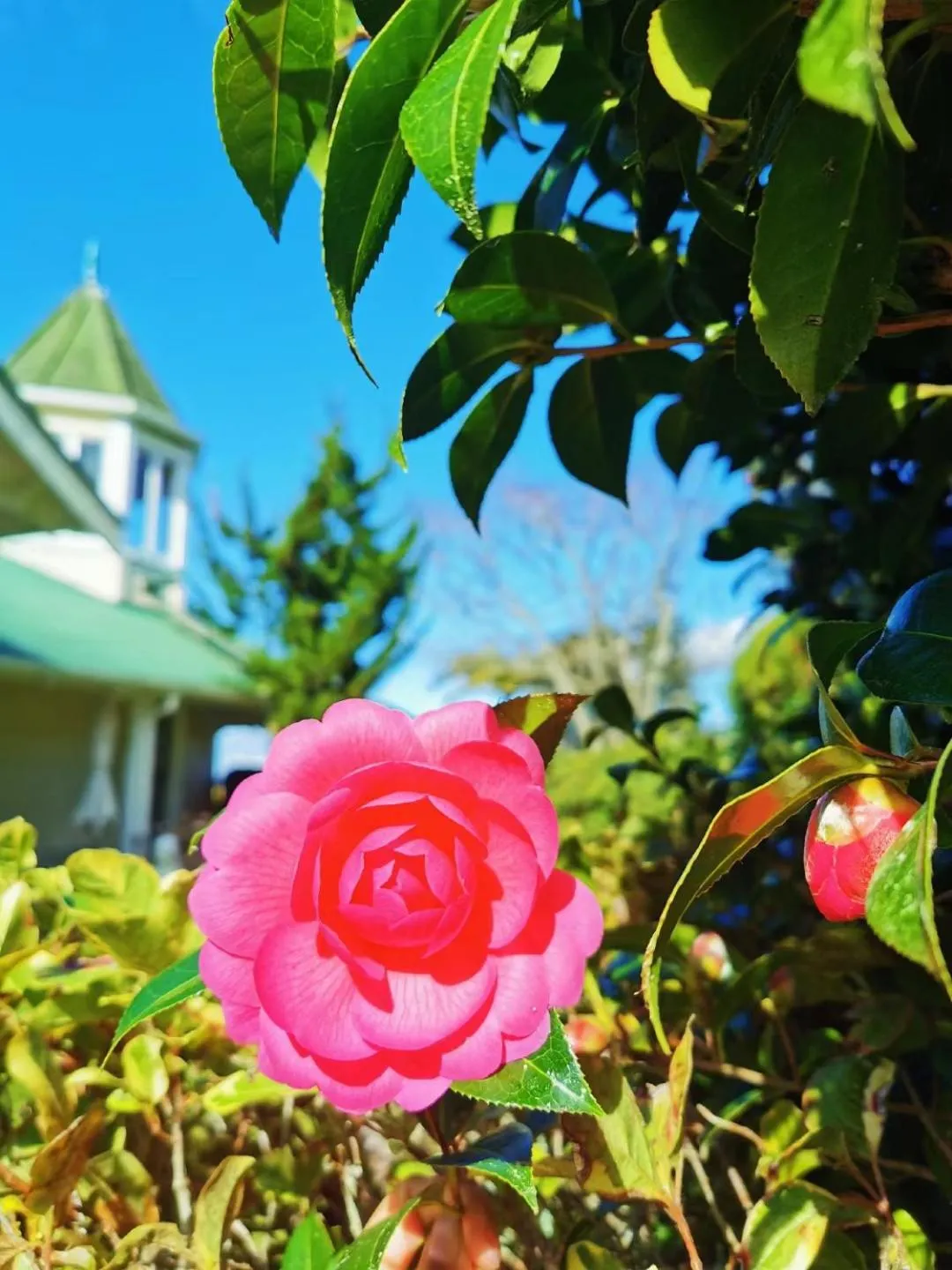 Country Villa Estate