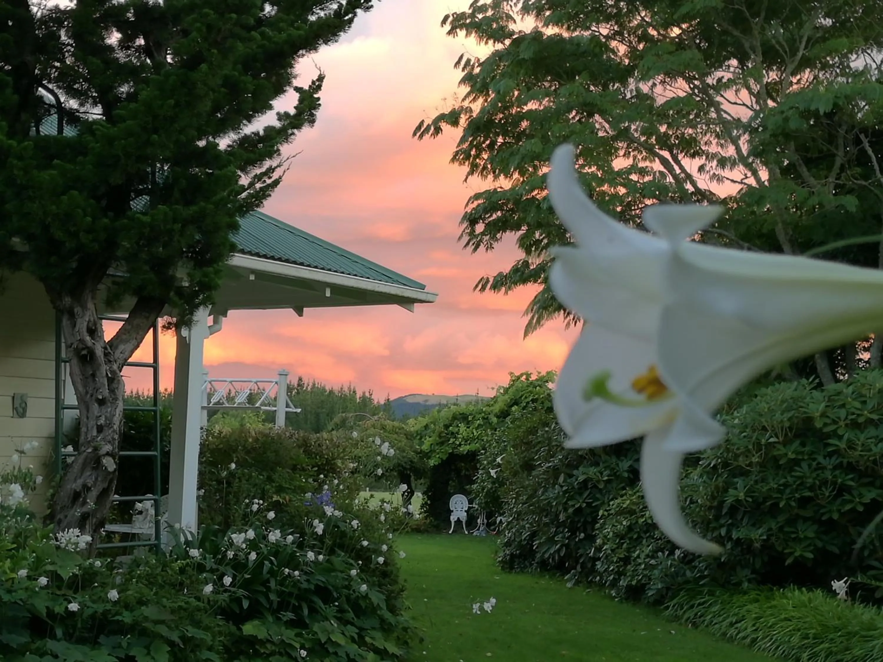 Garden view in Country Villa Estate