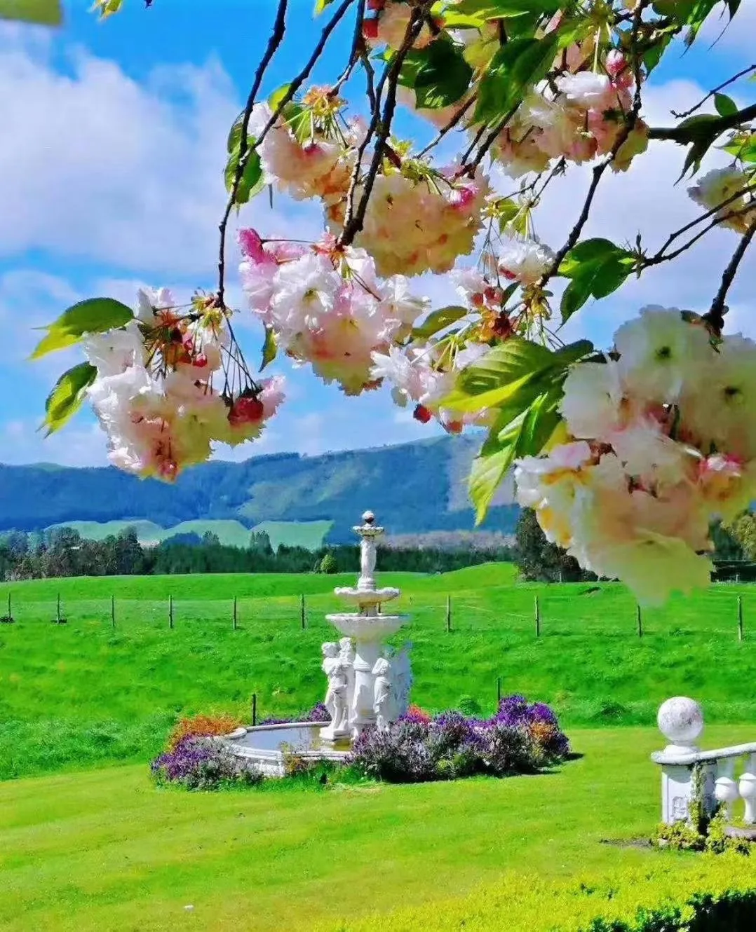 Country Villa Estate