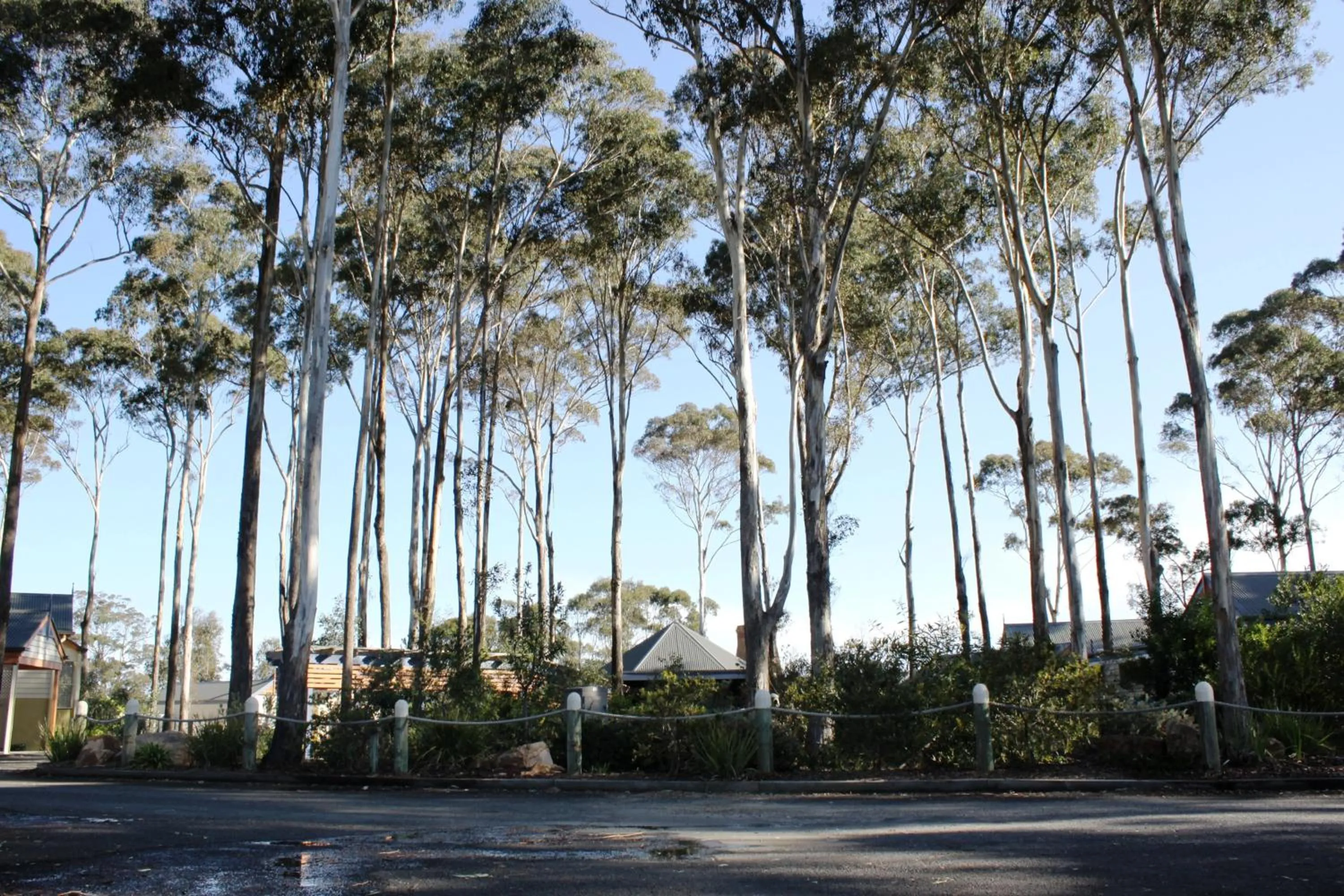 Area and facilities in Waverley House Cottages