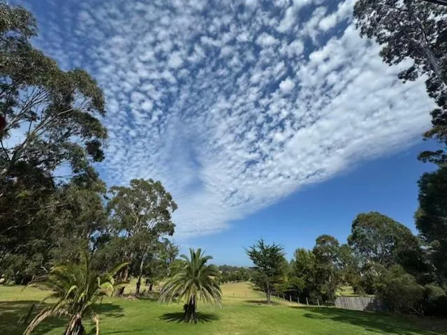 Waverley House Cottages