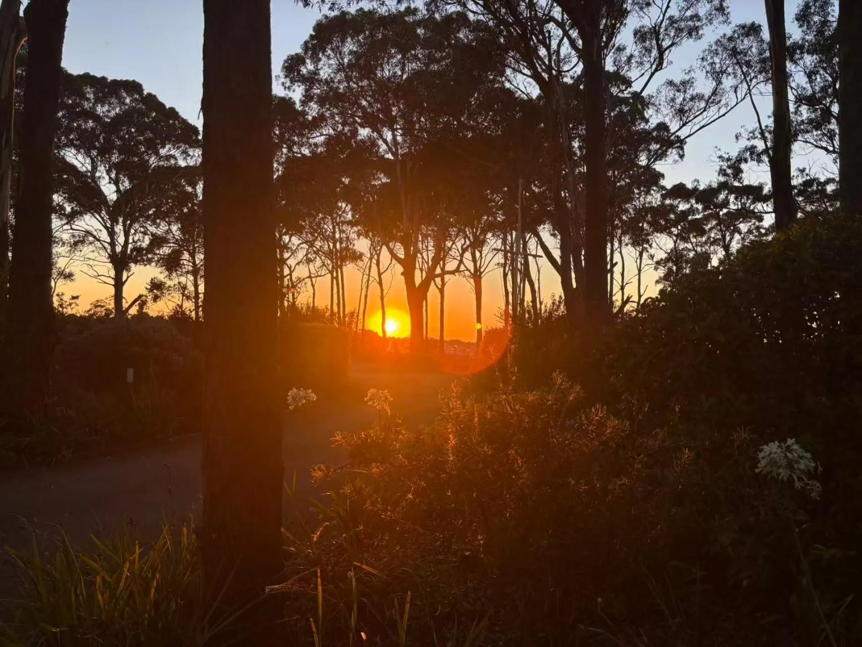 Waverley House Cottages