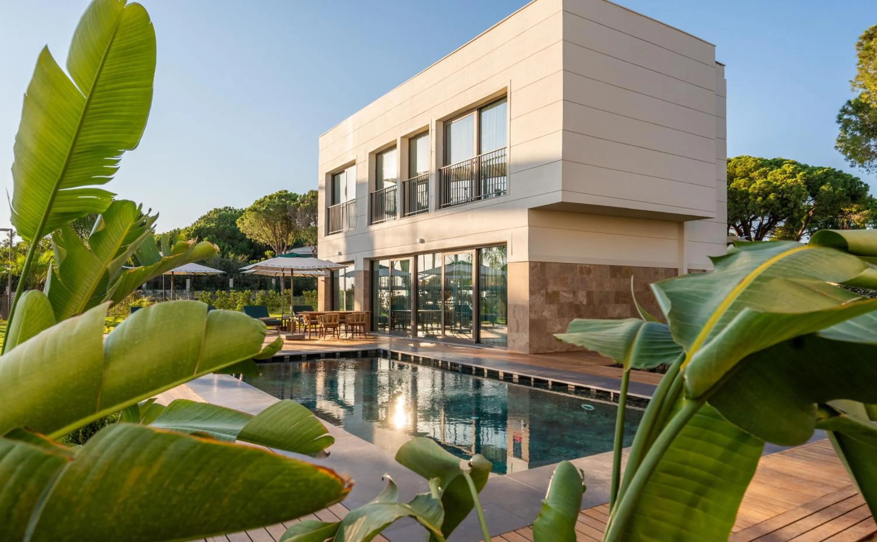 Photo of the whole room in Ethno Belek