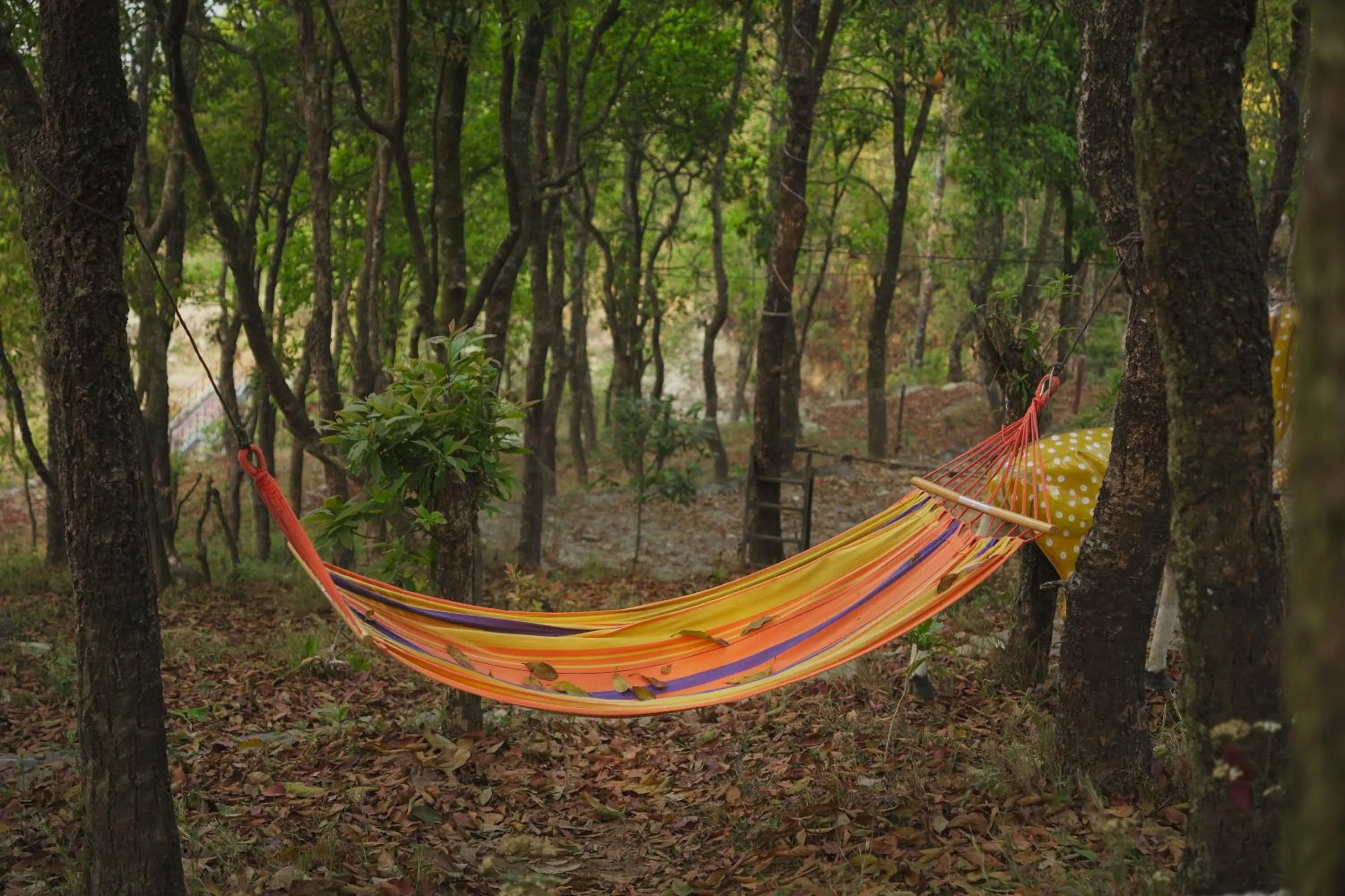 Area and facilities in Naya Gaun Eco Resort