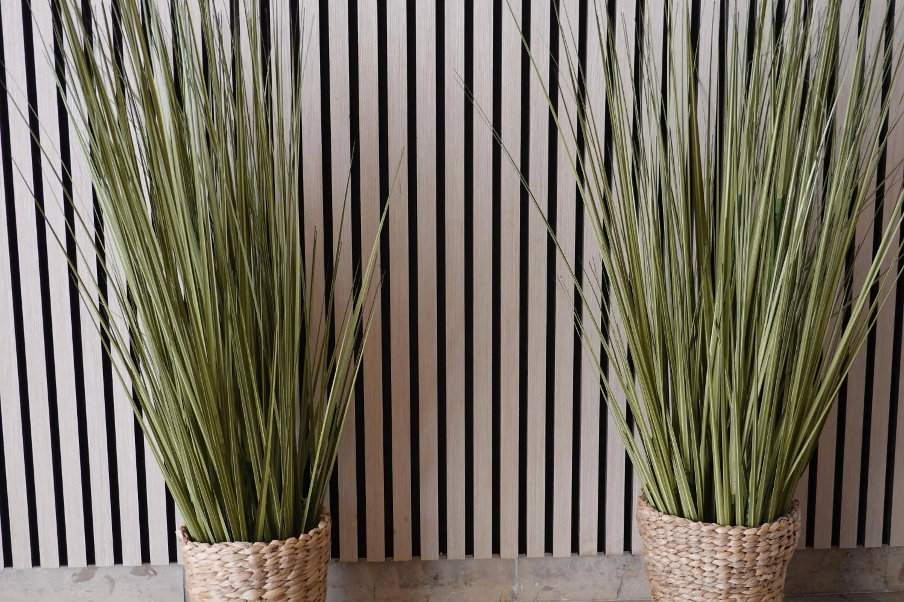 Facade/entrance in Hotel Birnbaum