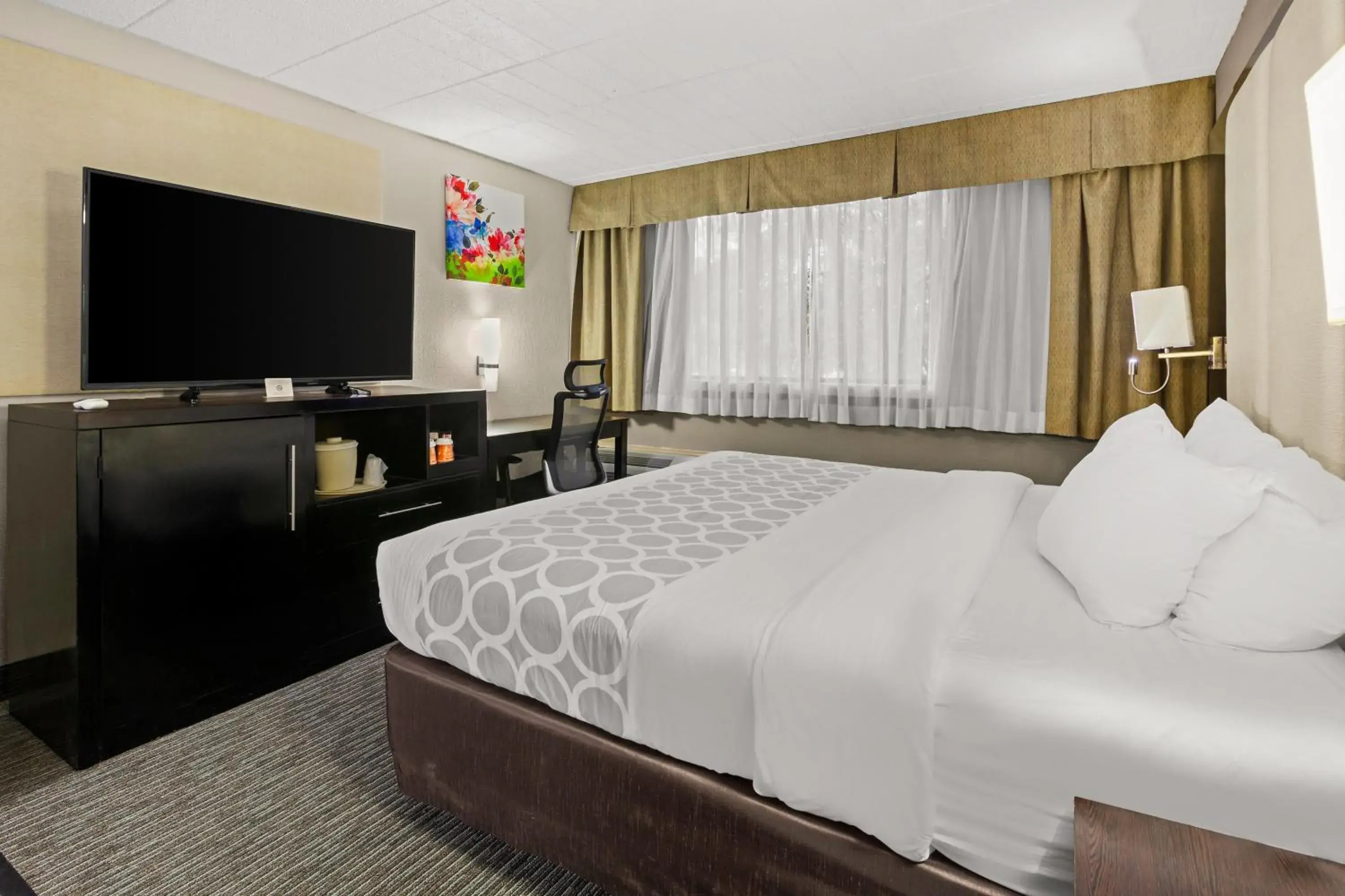 Photo of the whole room, Bed in Suburban Studios Photo of the whole room, Bed in Suburban Studios