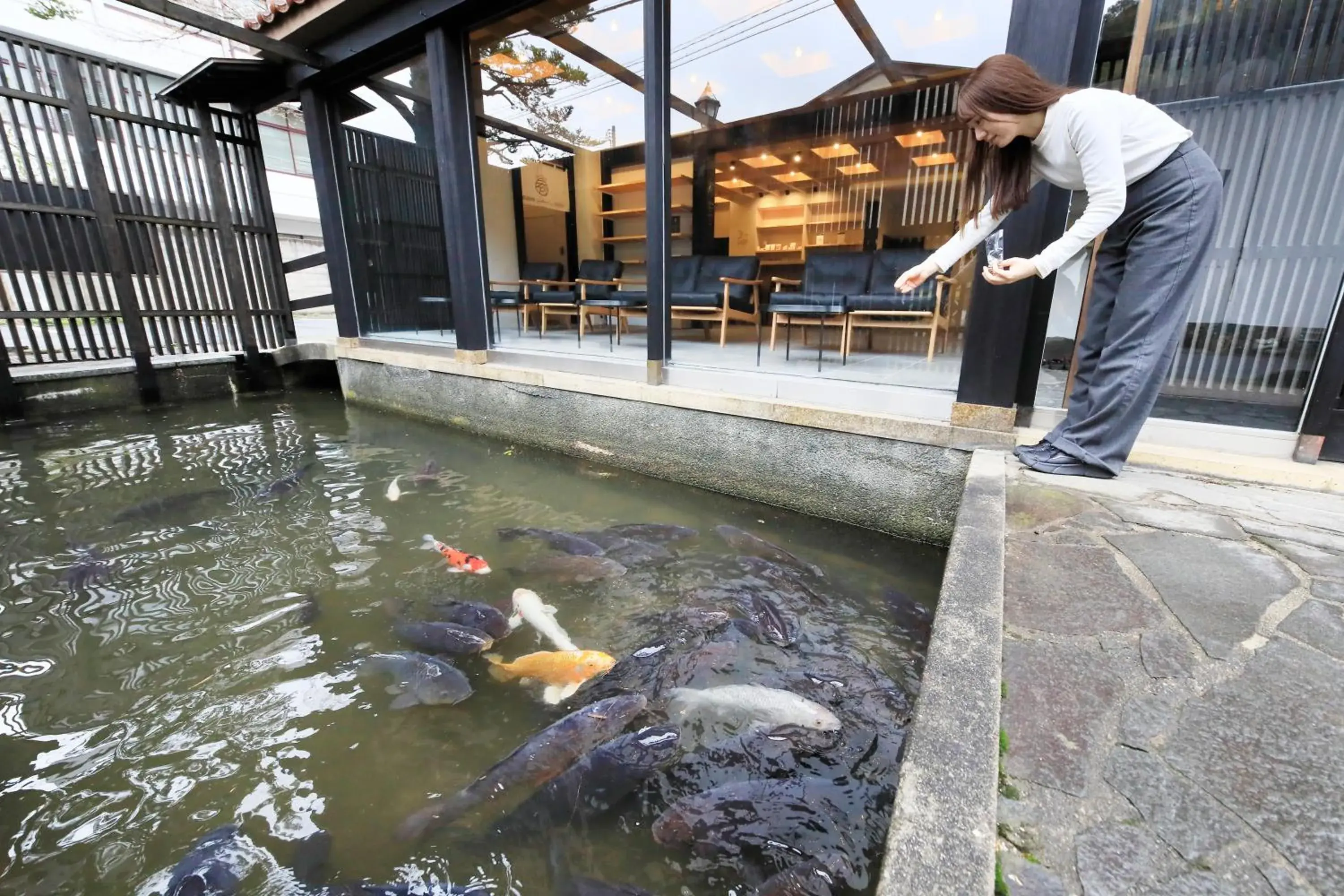 Lounge or bar in Yutorelo Tsuwano Lounge or bar in Yutorelo Tsuwano