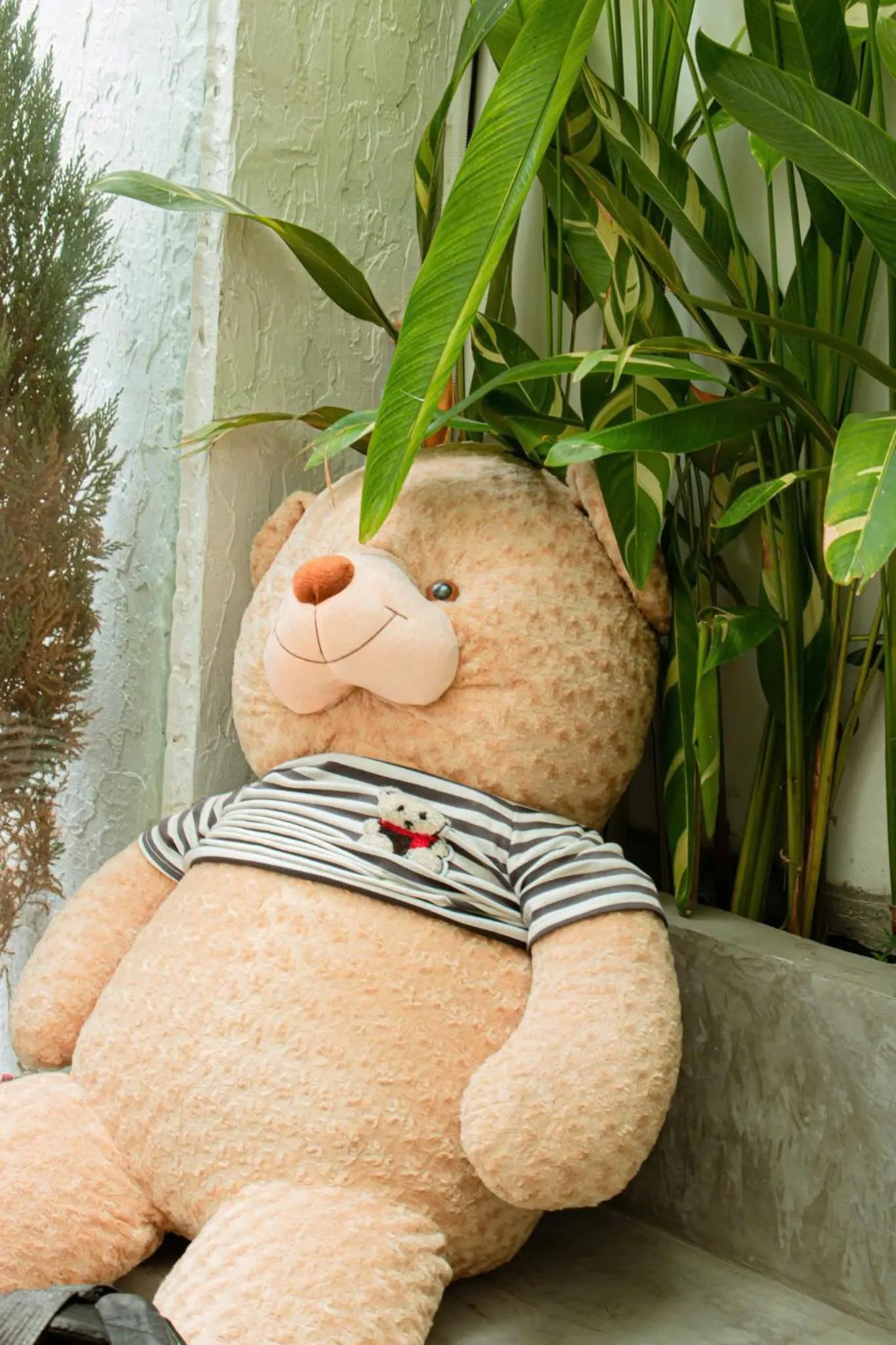 Coffee/tea facilities in Zeus Living - City Central