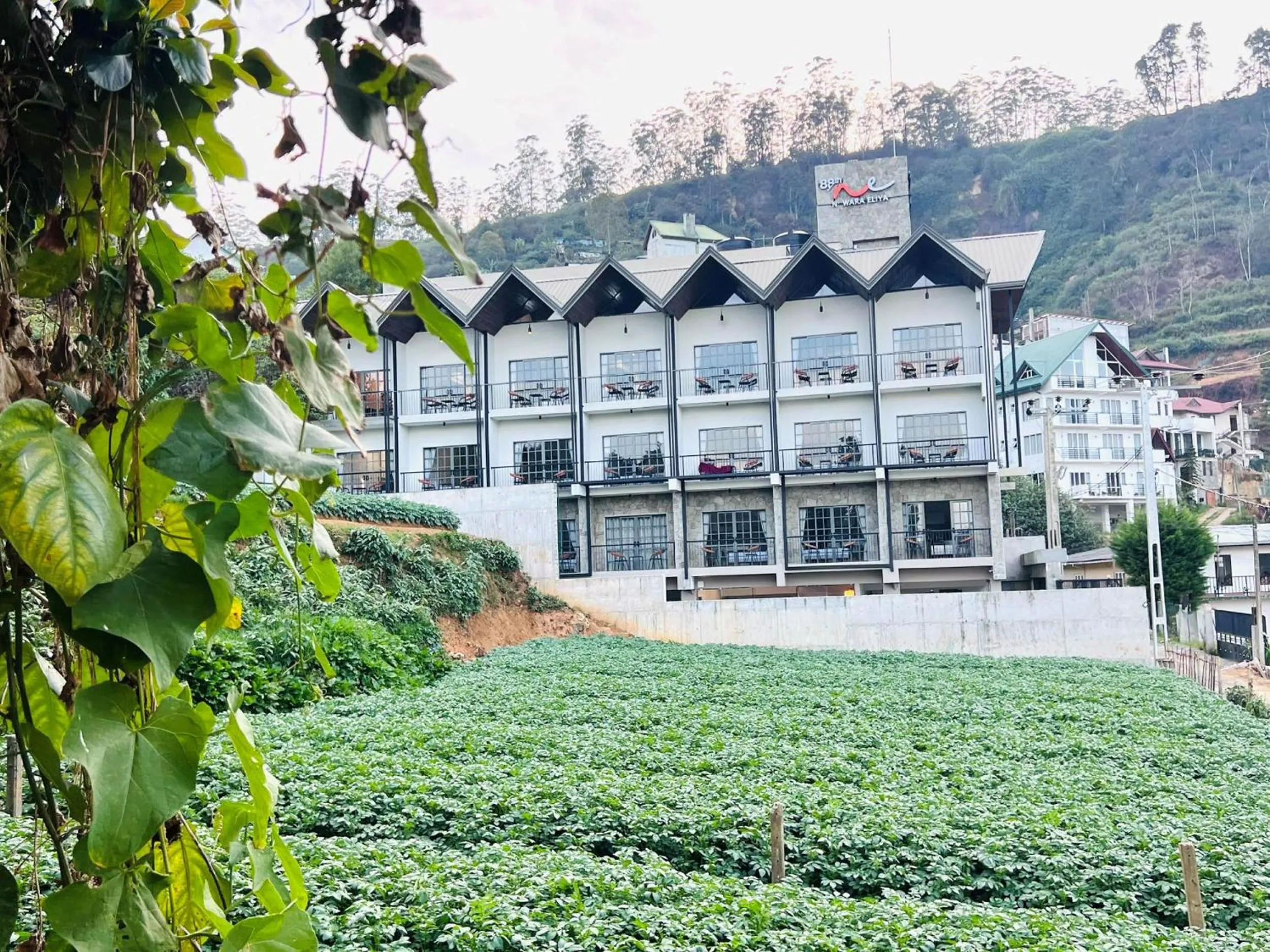 Property building in 88th Nuwara Eliya