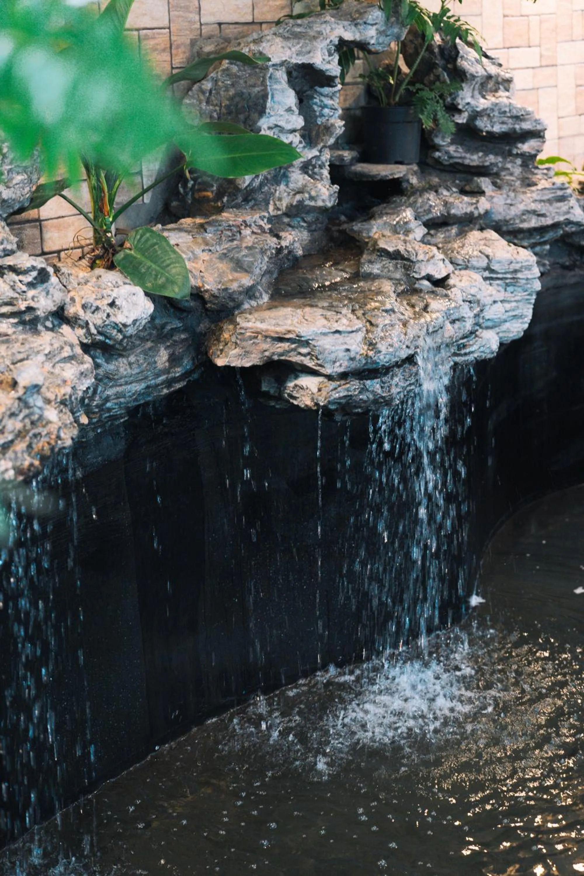Natural landscape in Quy Tai Premium Hotel