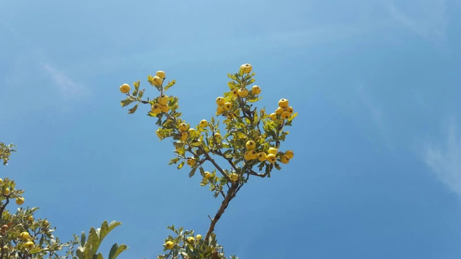 La Dimora Gigante