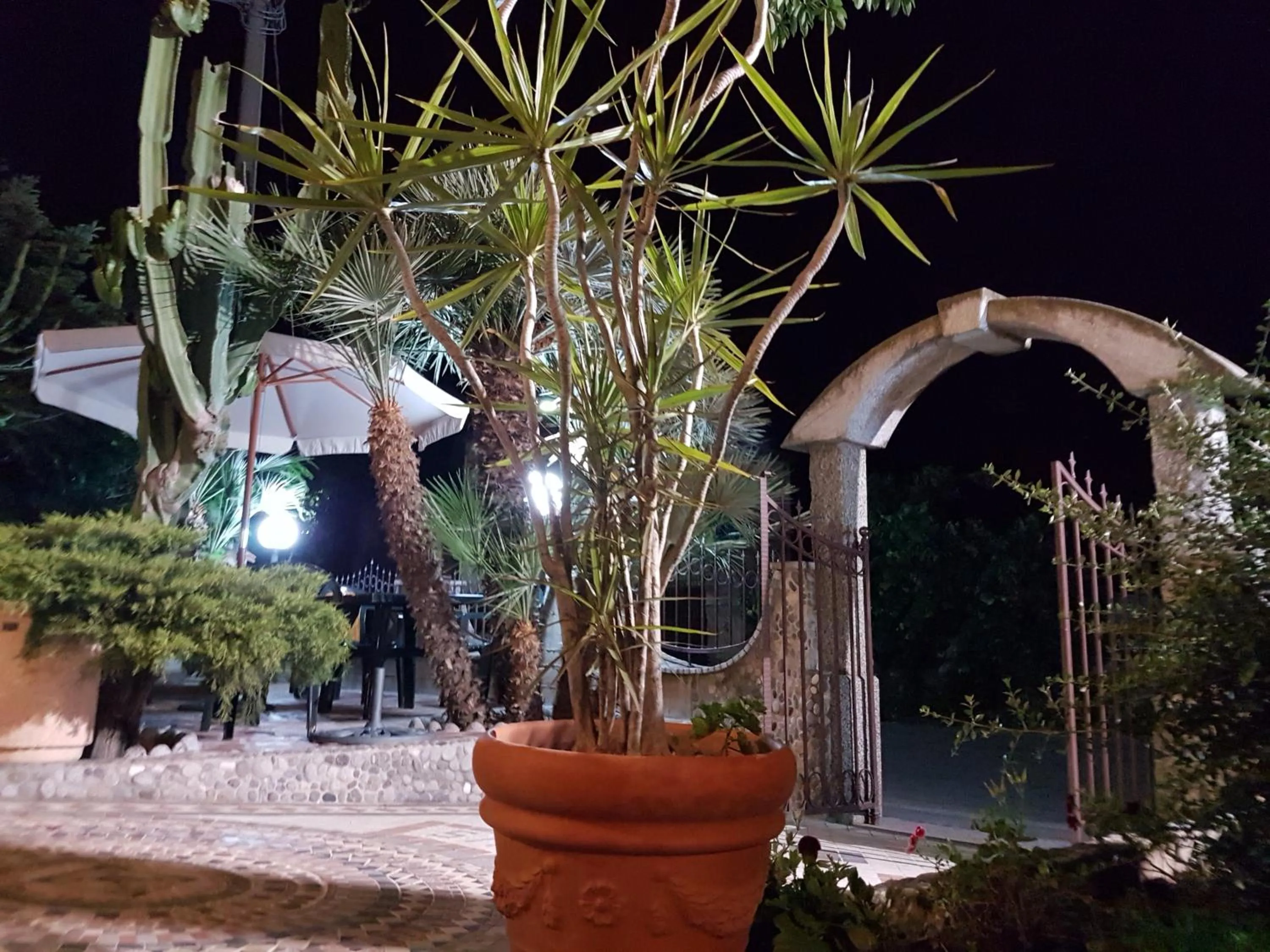 Garden in Hotel Nautilus