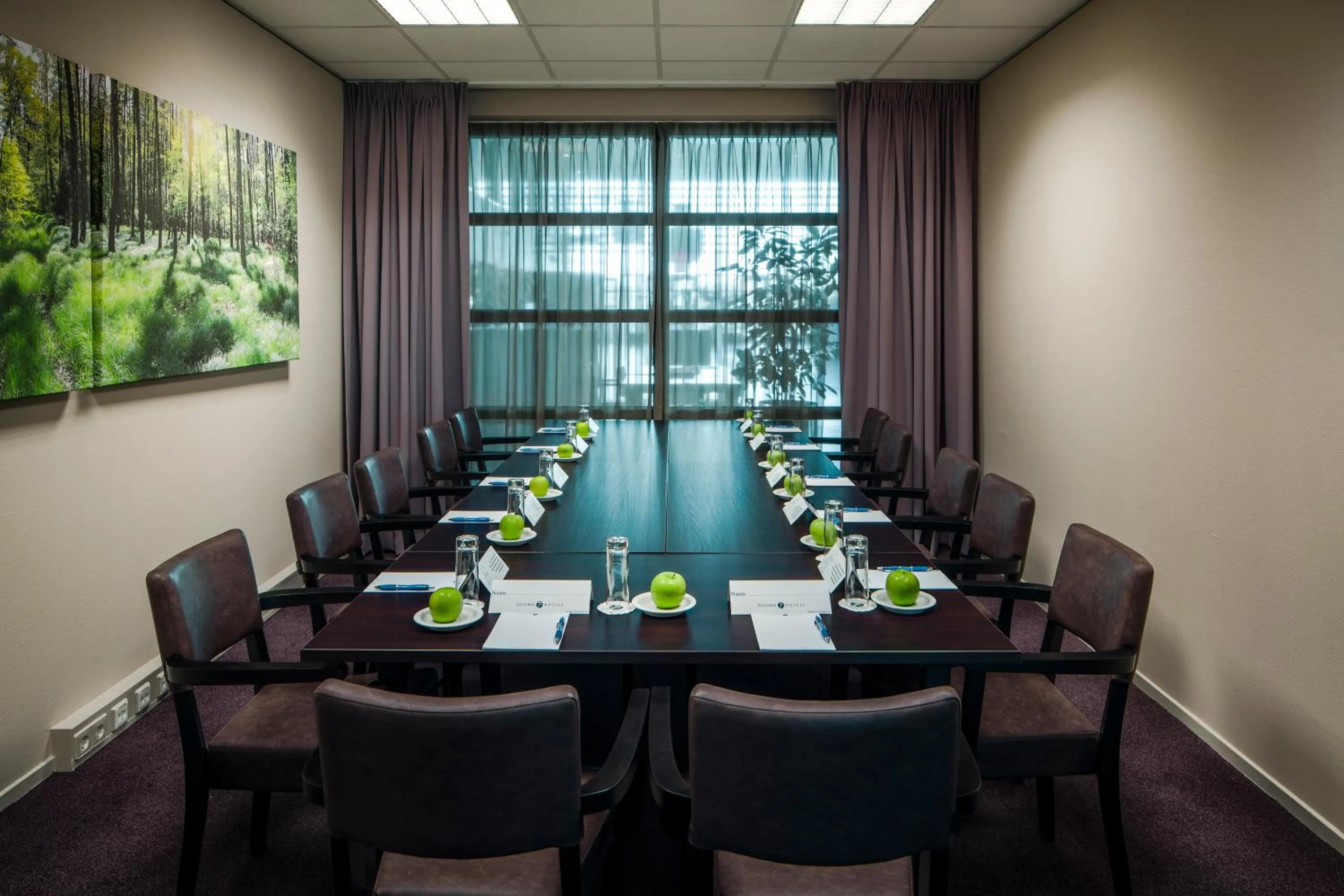 Meeting/conference room in Fletcher Wellness-Hotel Trivium