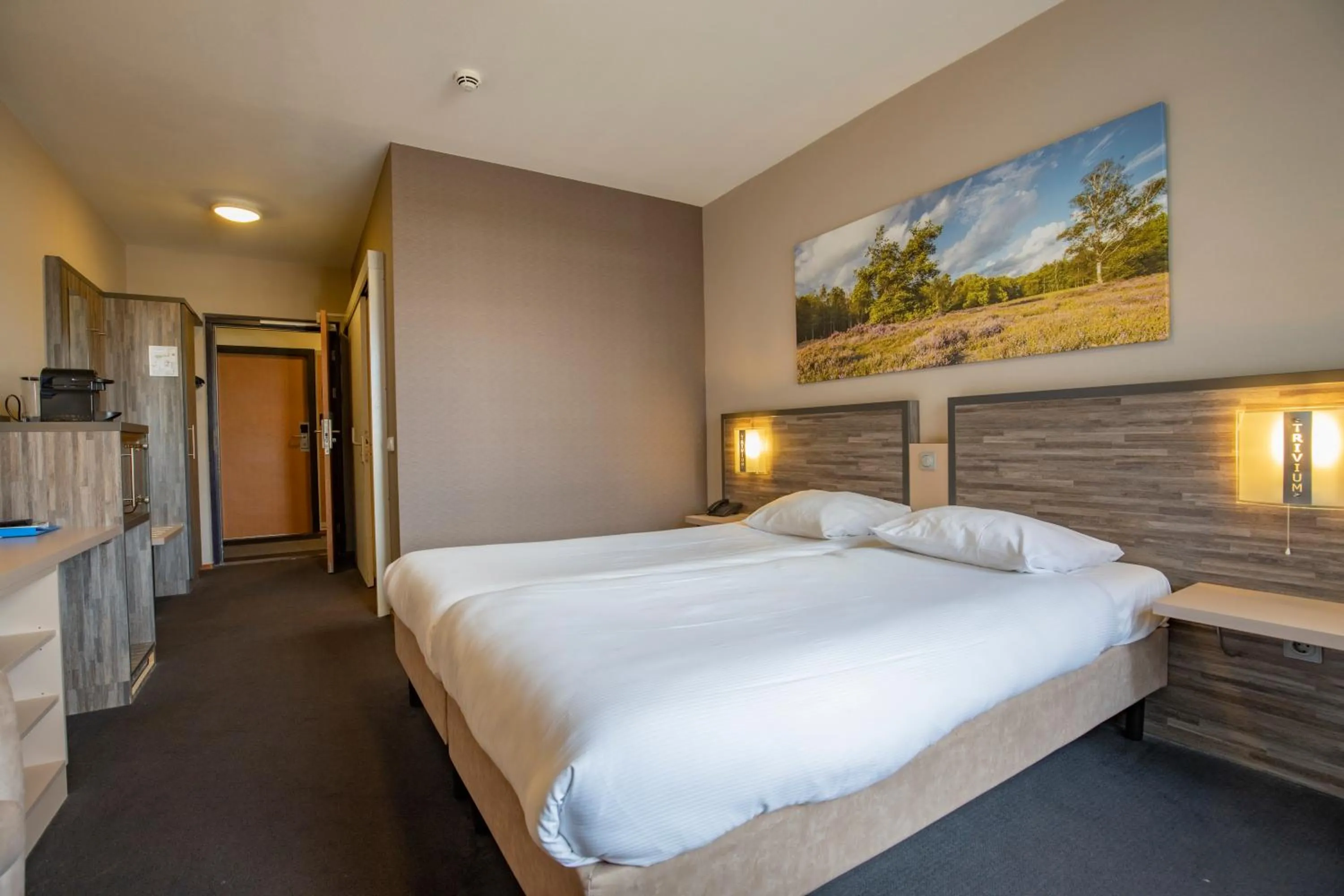 Photo of the whole room, Bed in Fletcher Wellness-Hotel Trivium