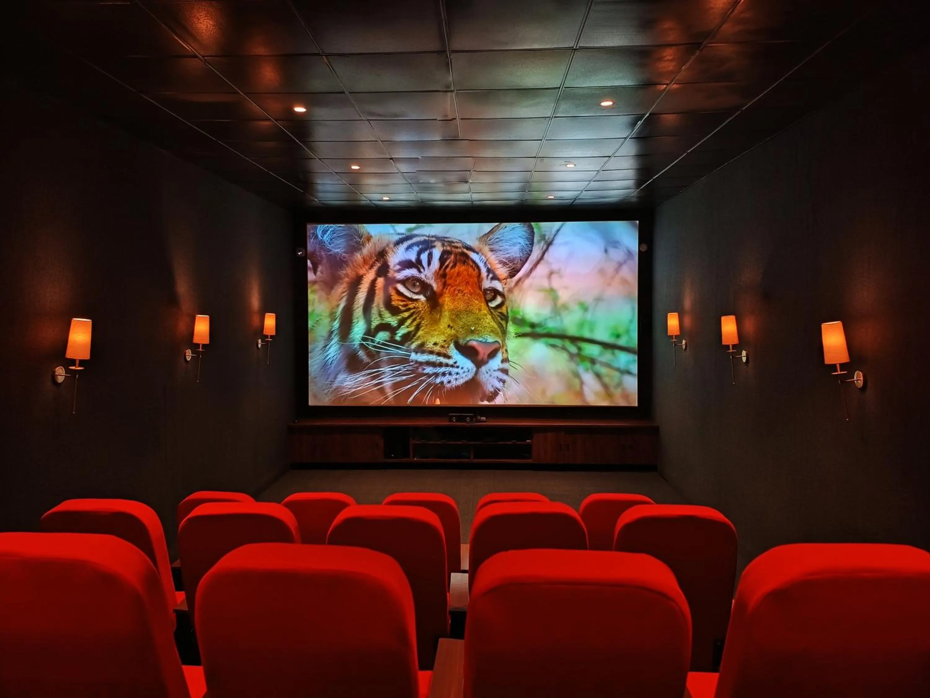 Communal lounge/ TV room in Ananyamaya nature lodge