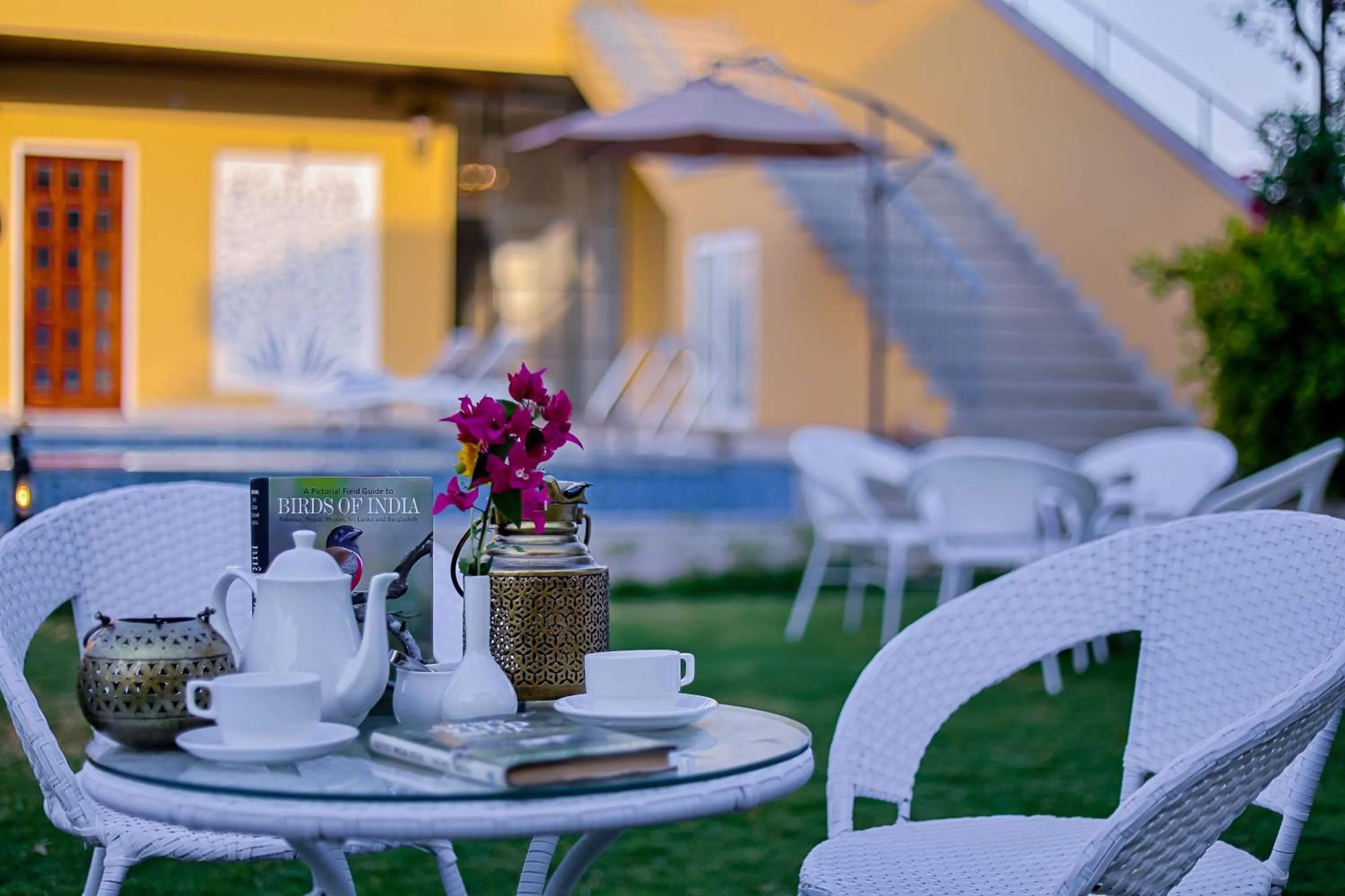 Garden in Ananyamaya nature lodge