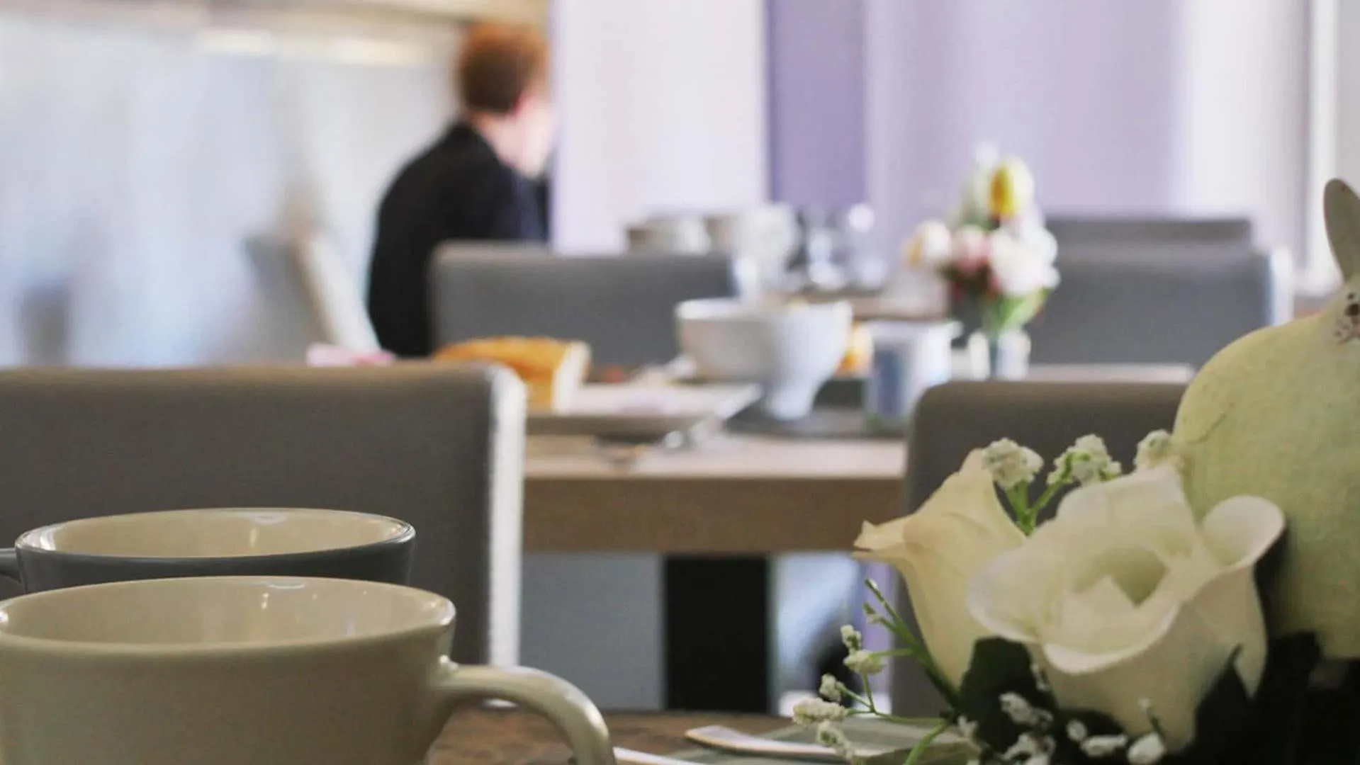 Banquet/Function facilities in Hôtel Le Dormeur