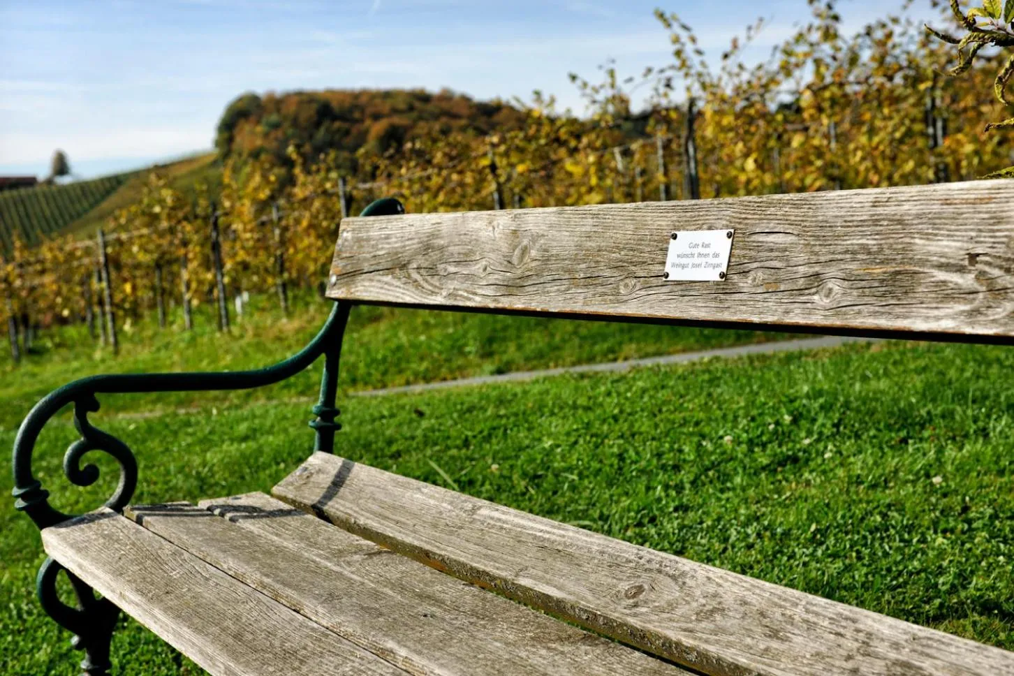Activities in Weingut Zirngast