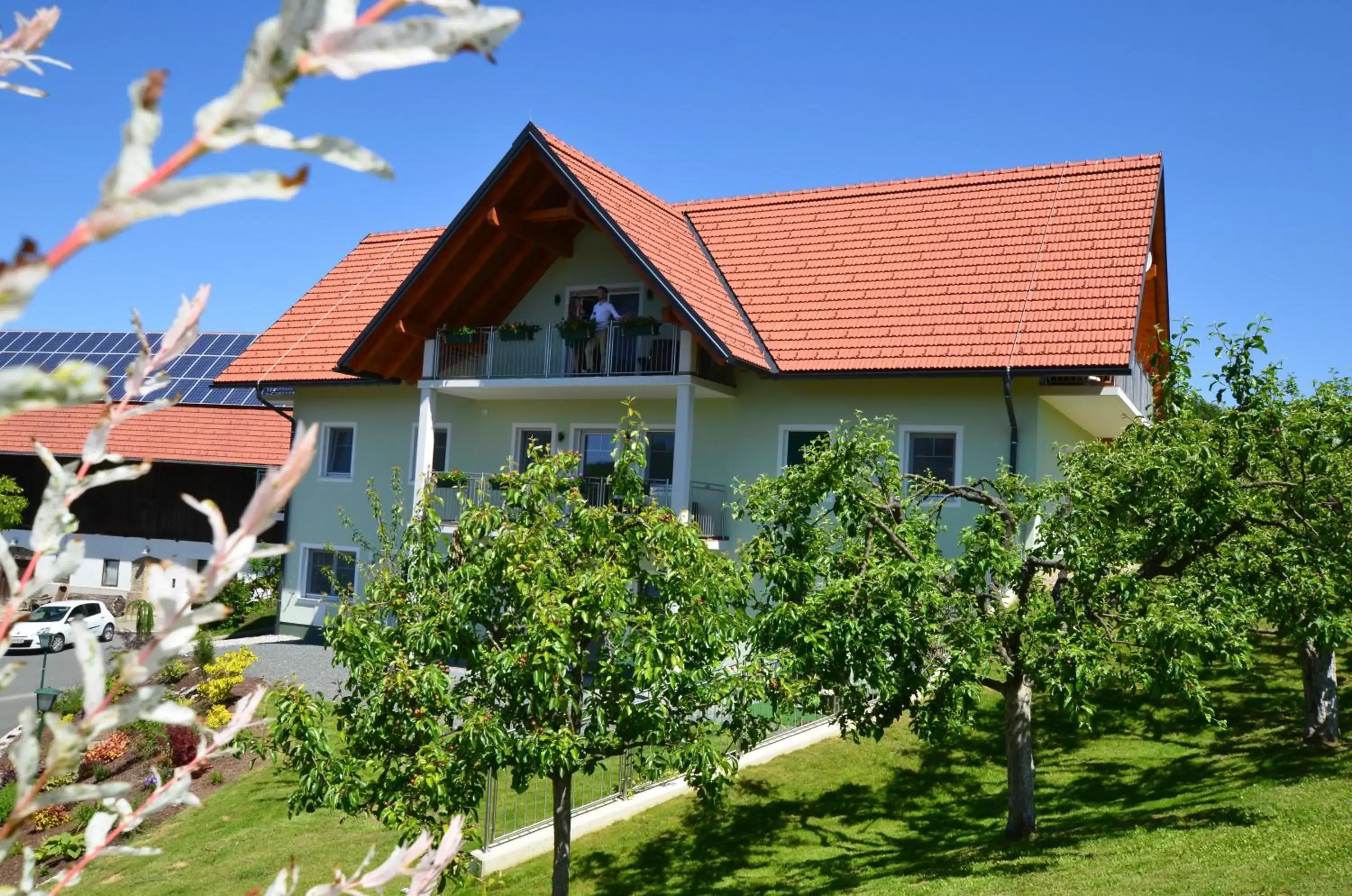 Weingut Zirngast Weingut Zirngast