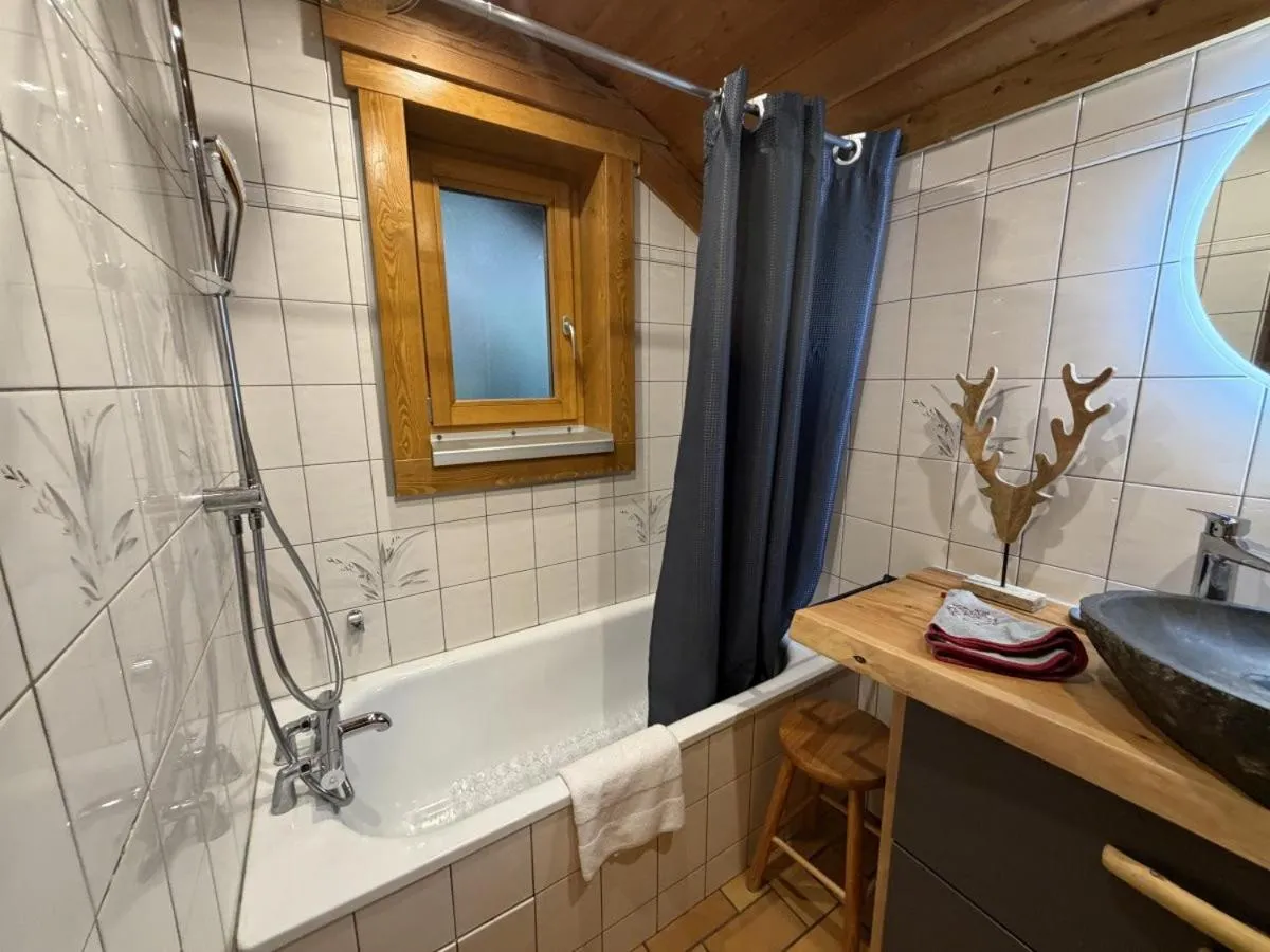 Bathroom in LE GRAND CERF Chalet en rondins avec SPA Jacuzzi