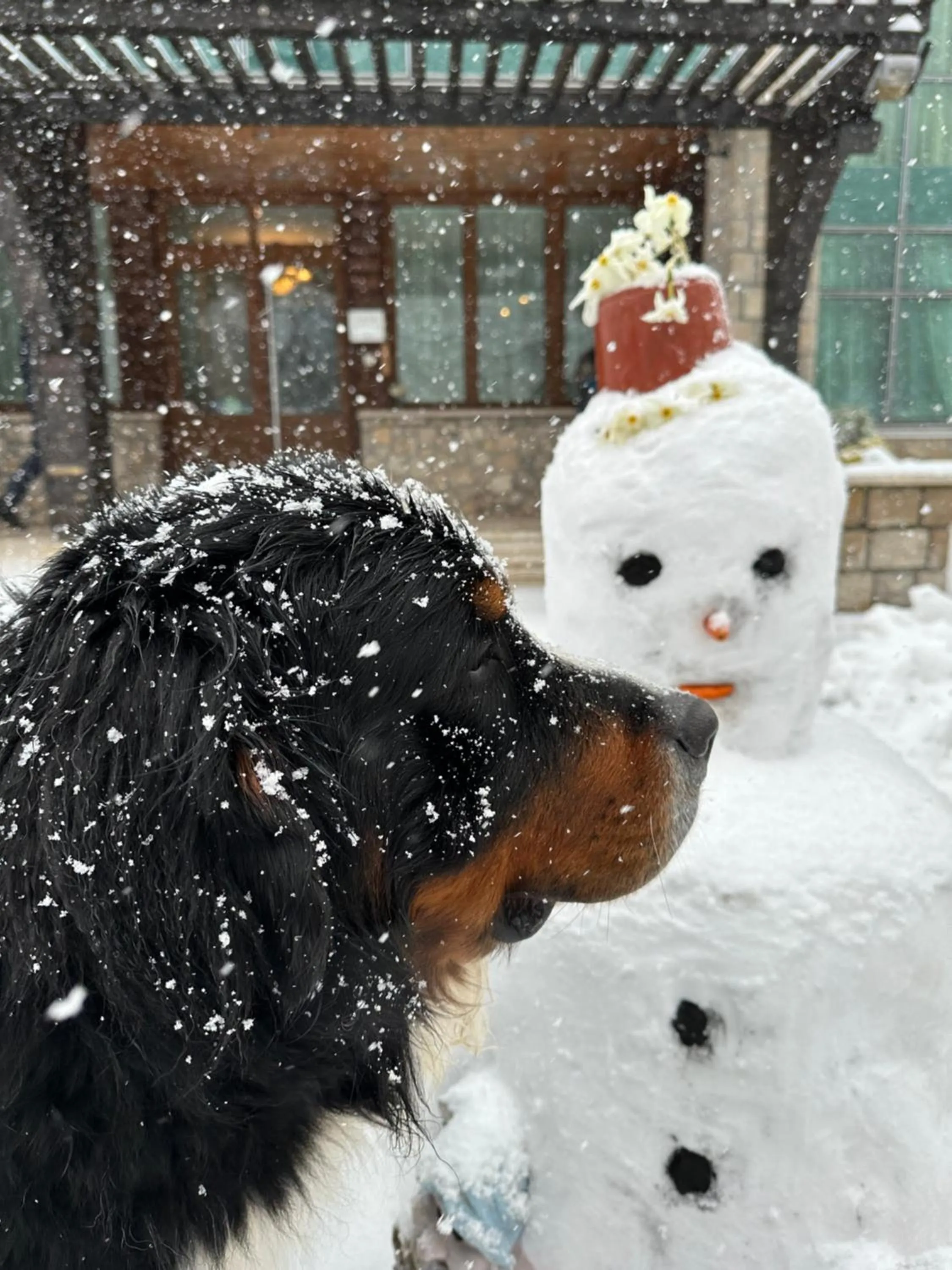 Winter in Hotel Monte Rosa