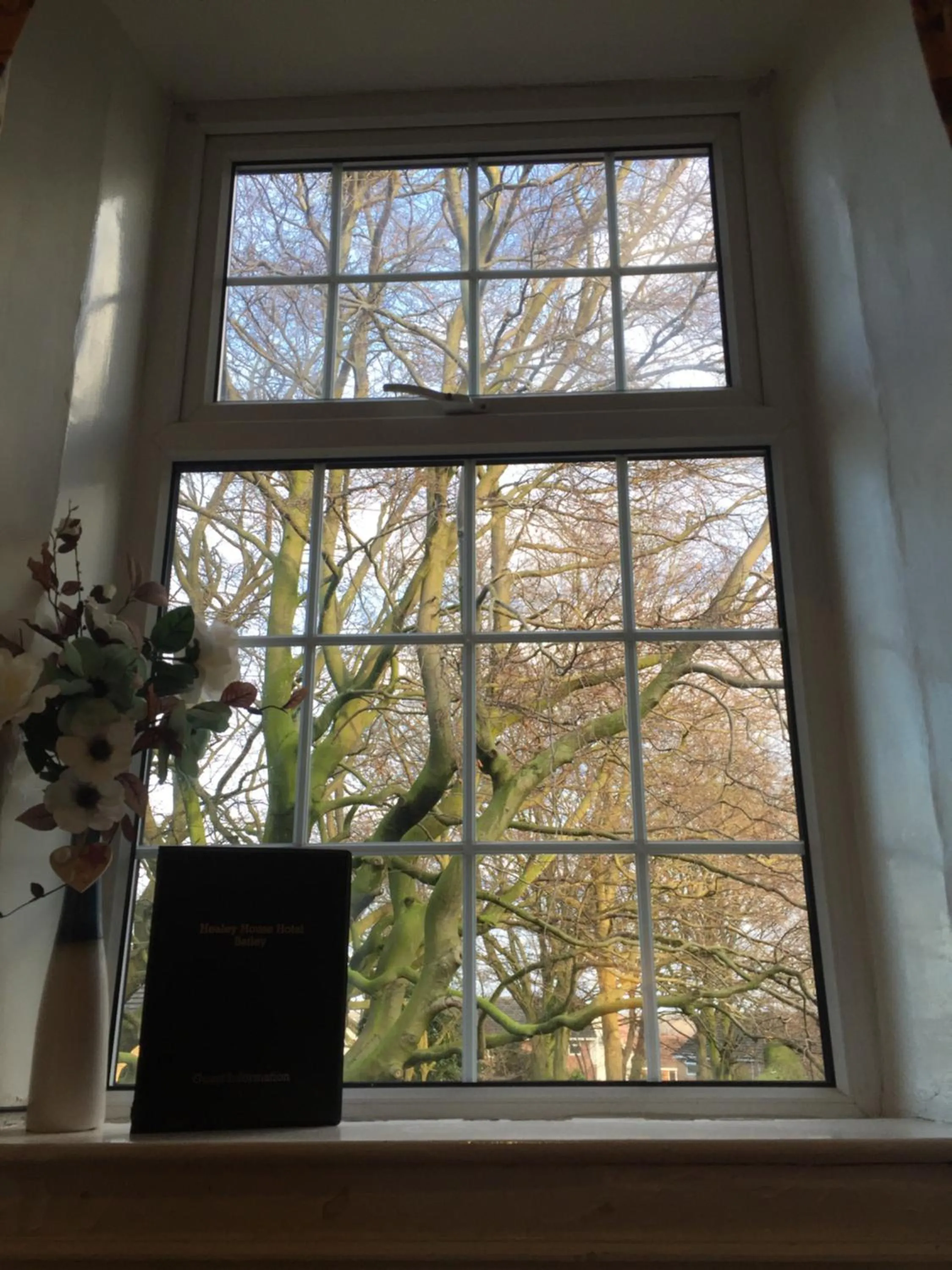 Decorative detail in Healey House Hotel